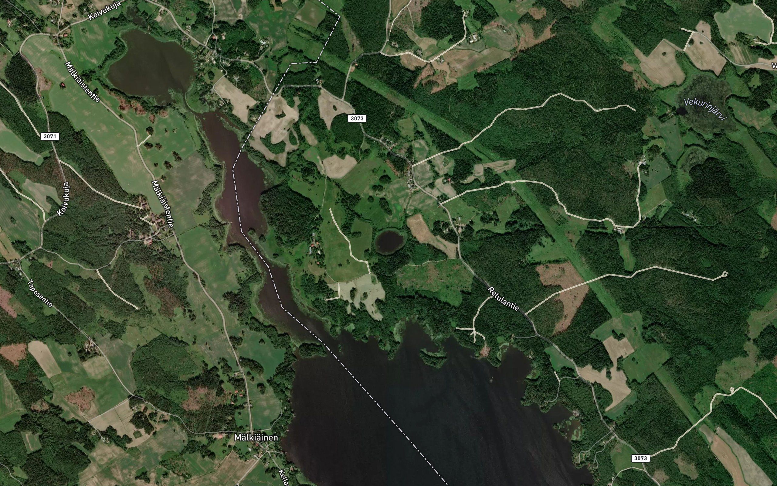 Lampinen