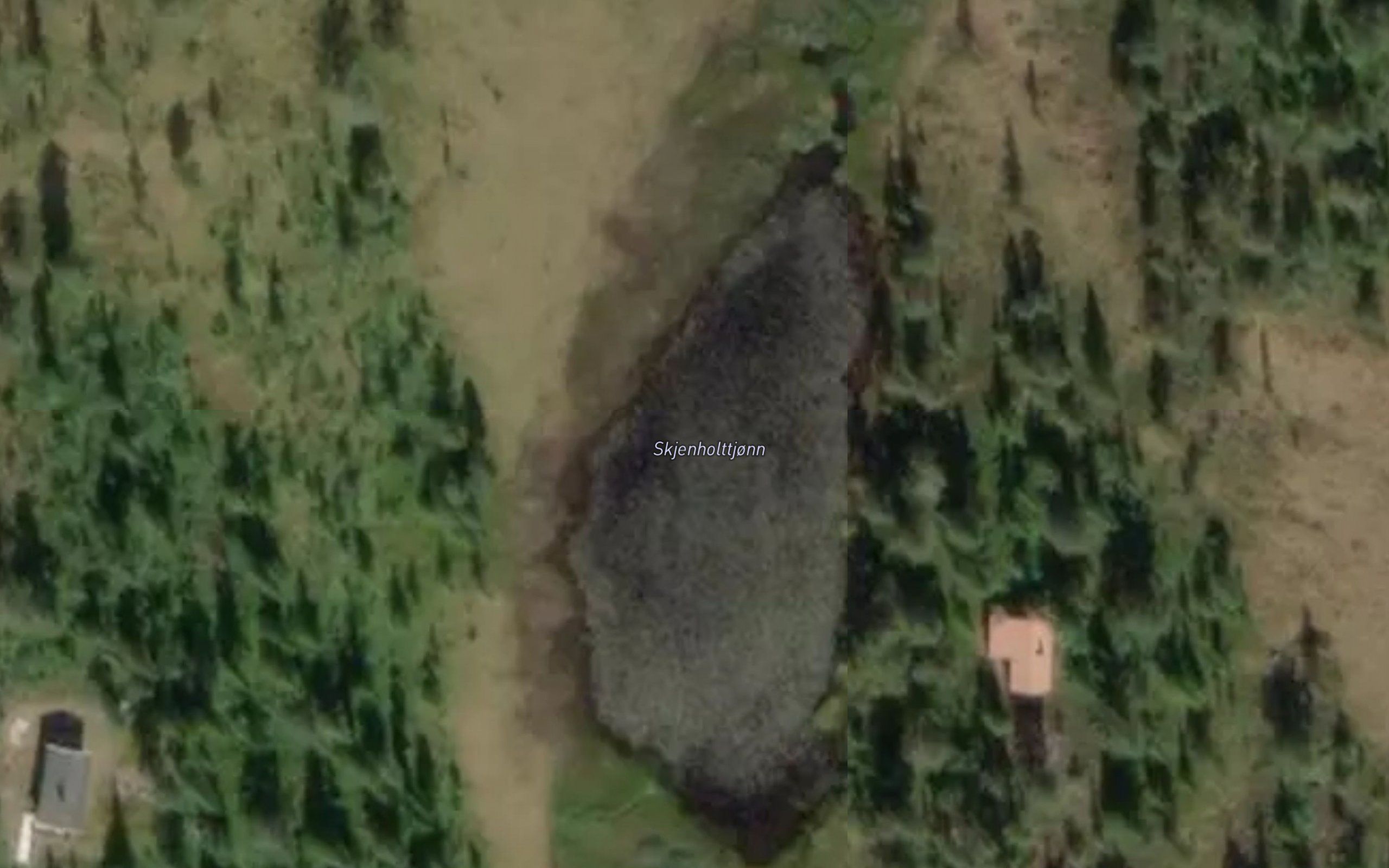 Skjenholttjonn
