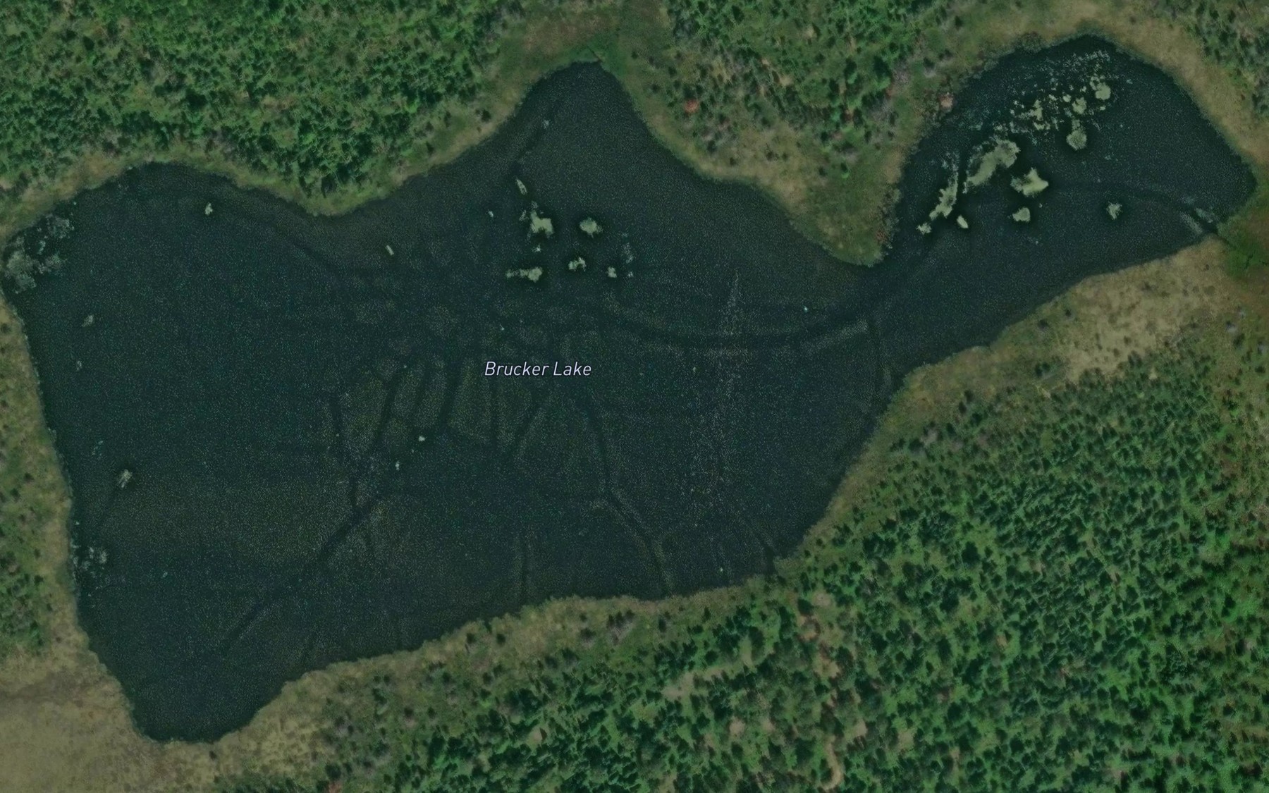 Satellite map of the Brucker Lake