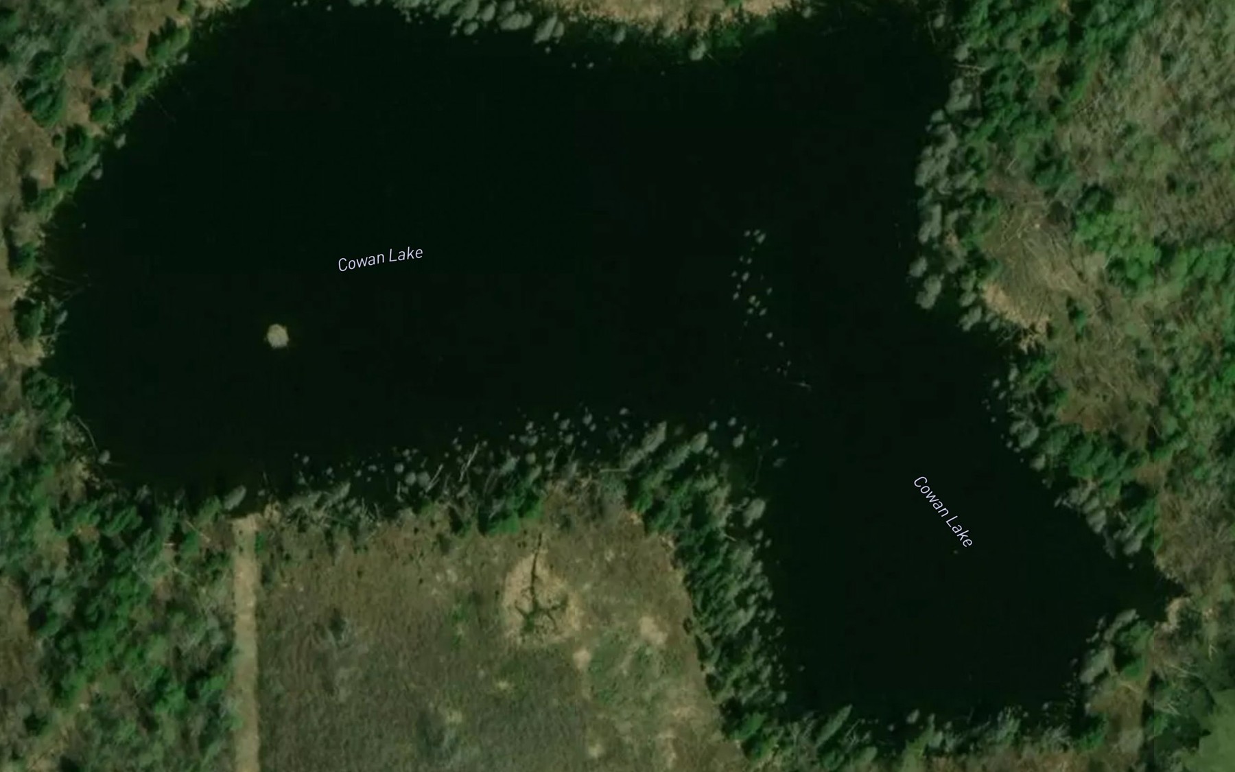 Satellite map of the Cowan Lake
