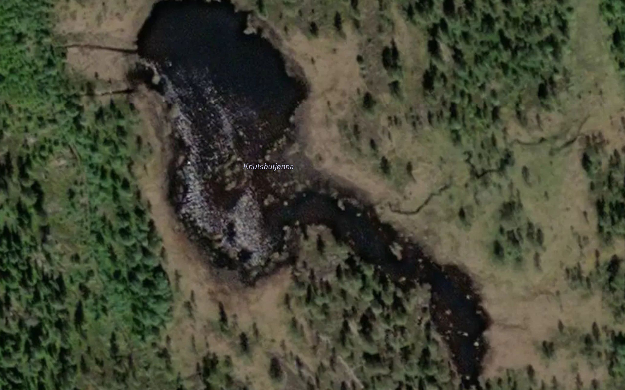 Knutsbutjonna