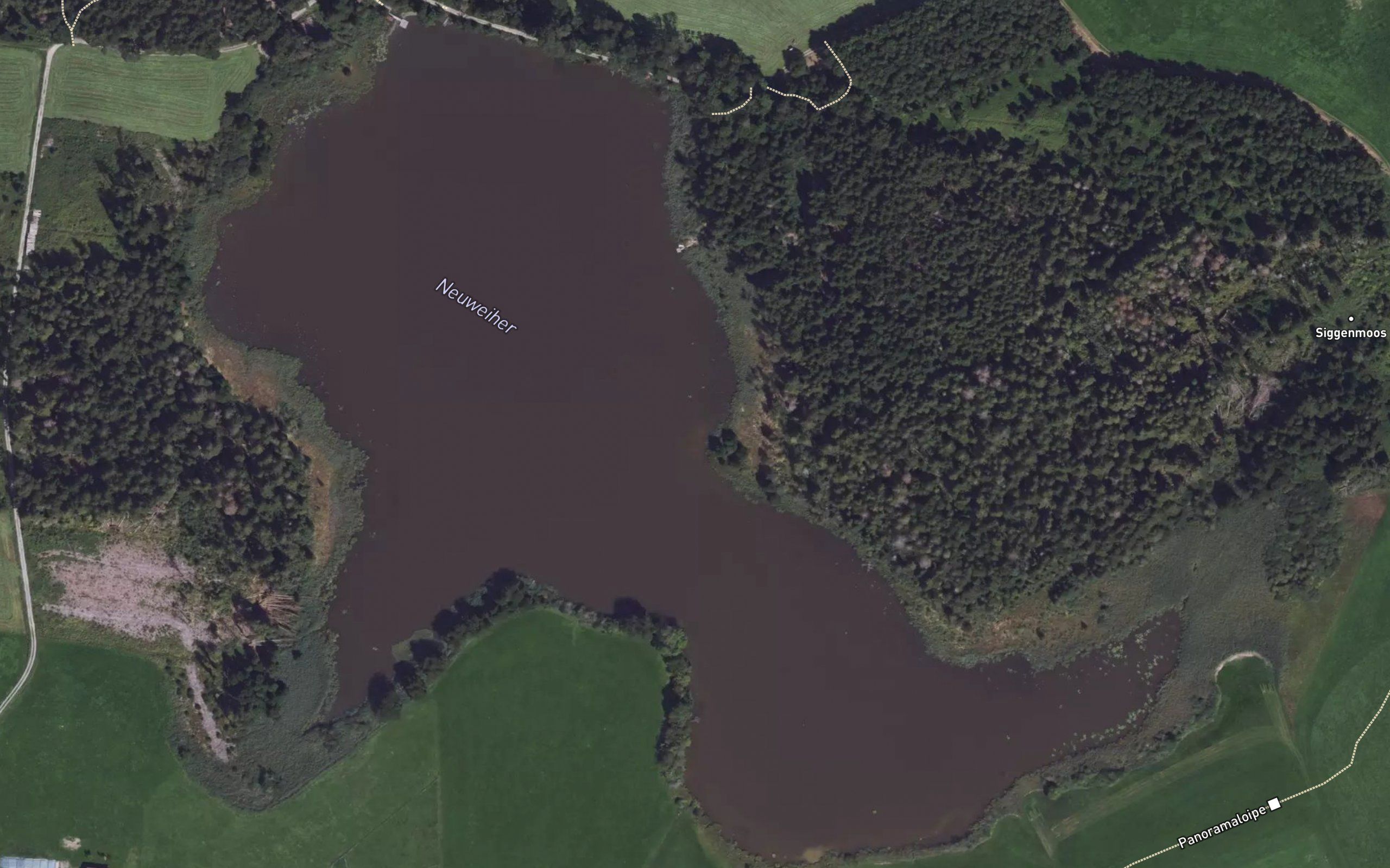 Neuweiher