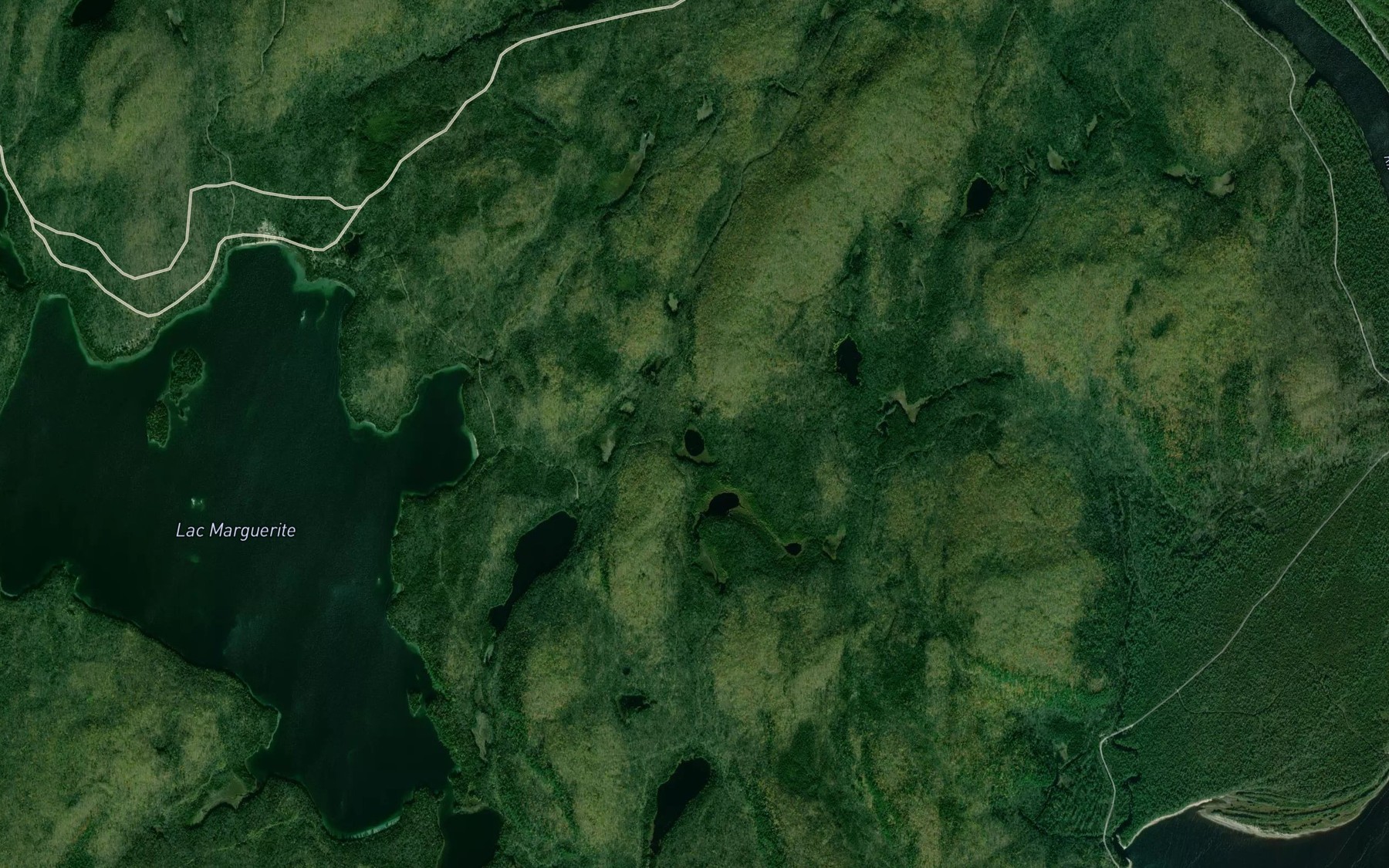 Satellite map of the Lac des Tetards