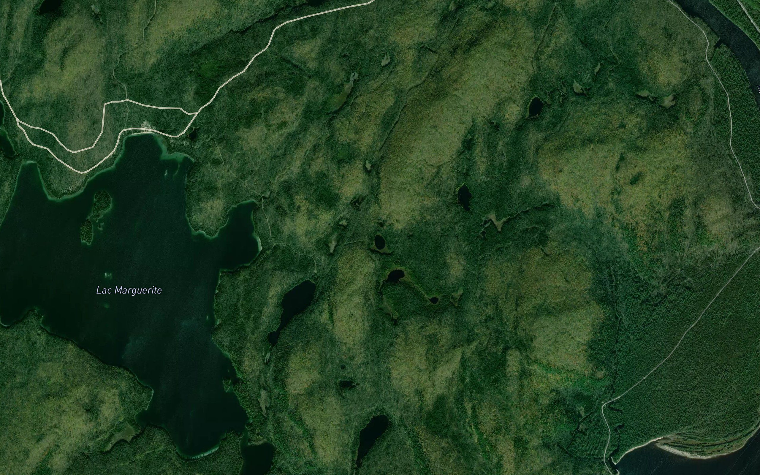 Lac des Tetards