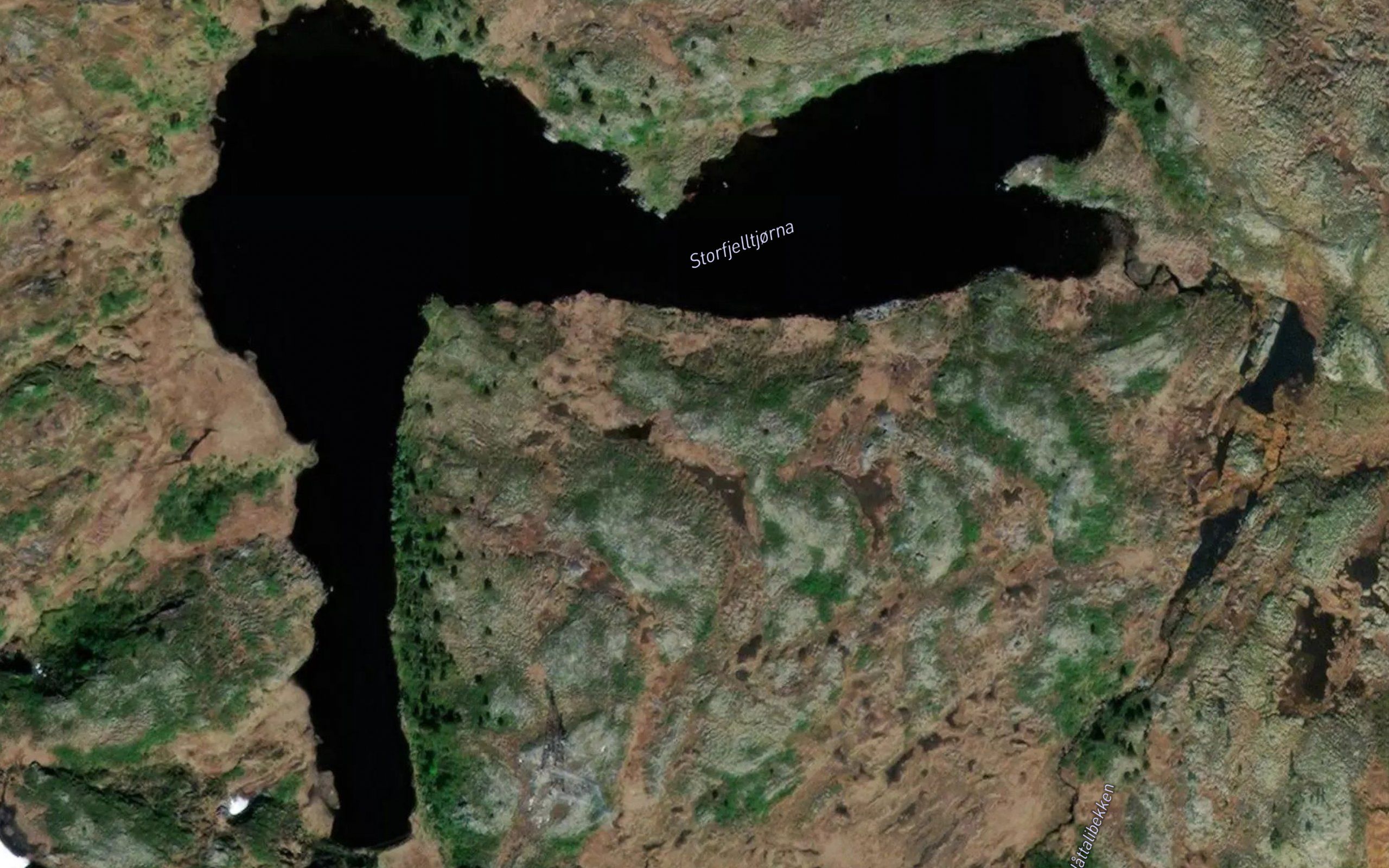Storfjelltjorna