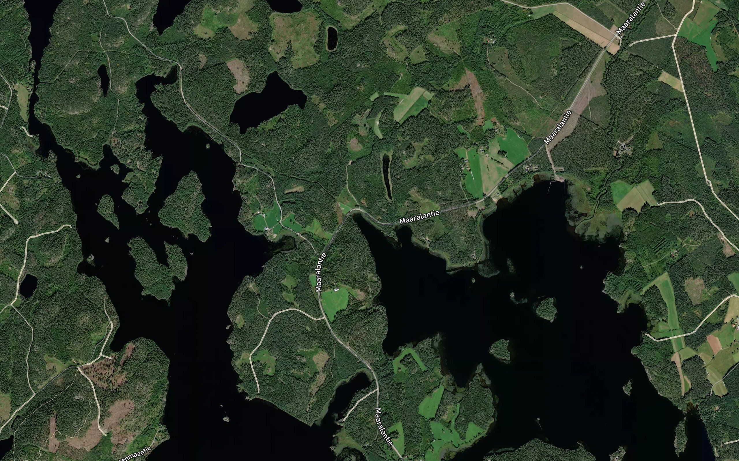 Naurislahti
