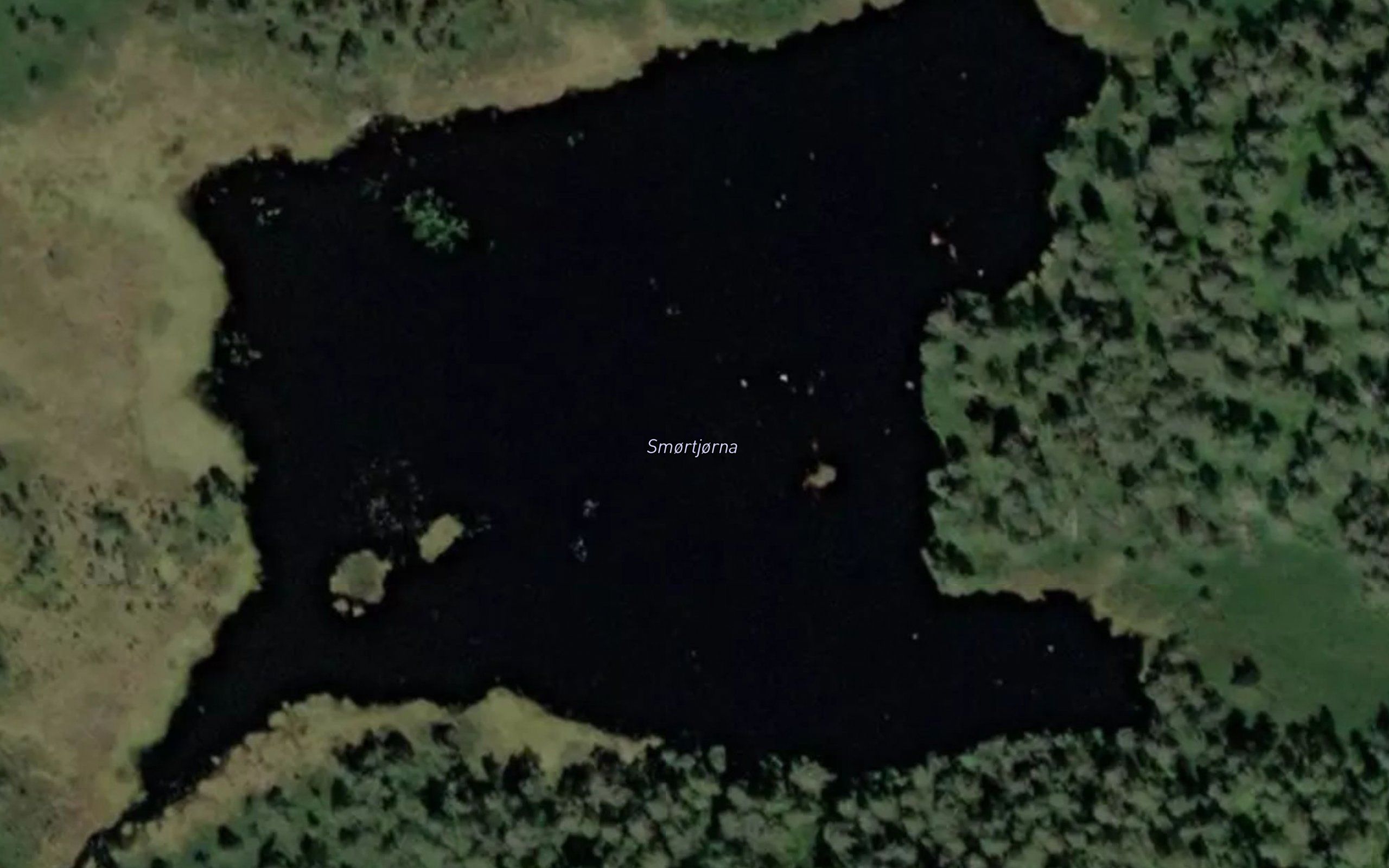 Smortjorna