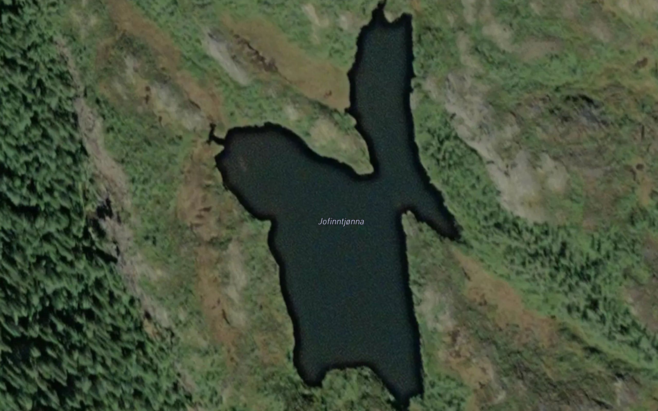 Jofinntjorna