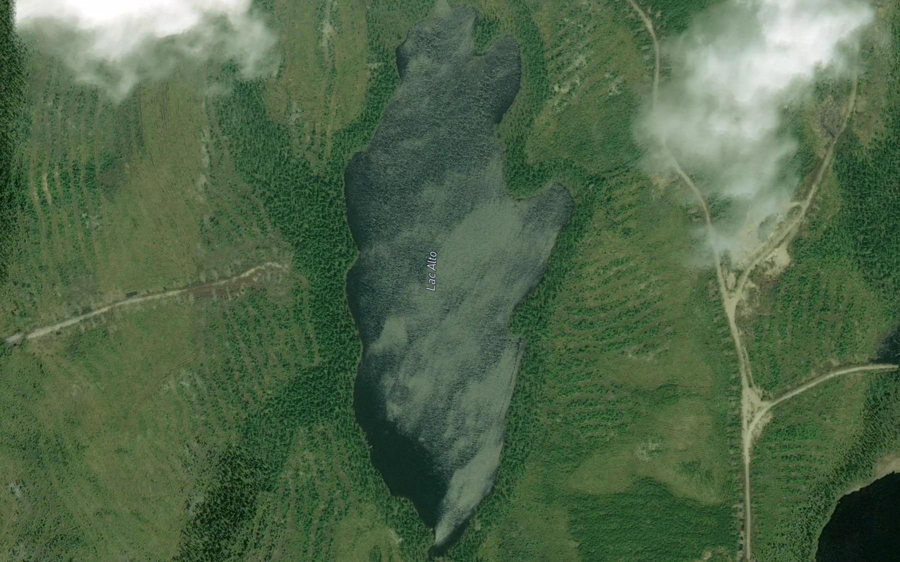 Satellite map of the Lac Alto