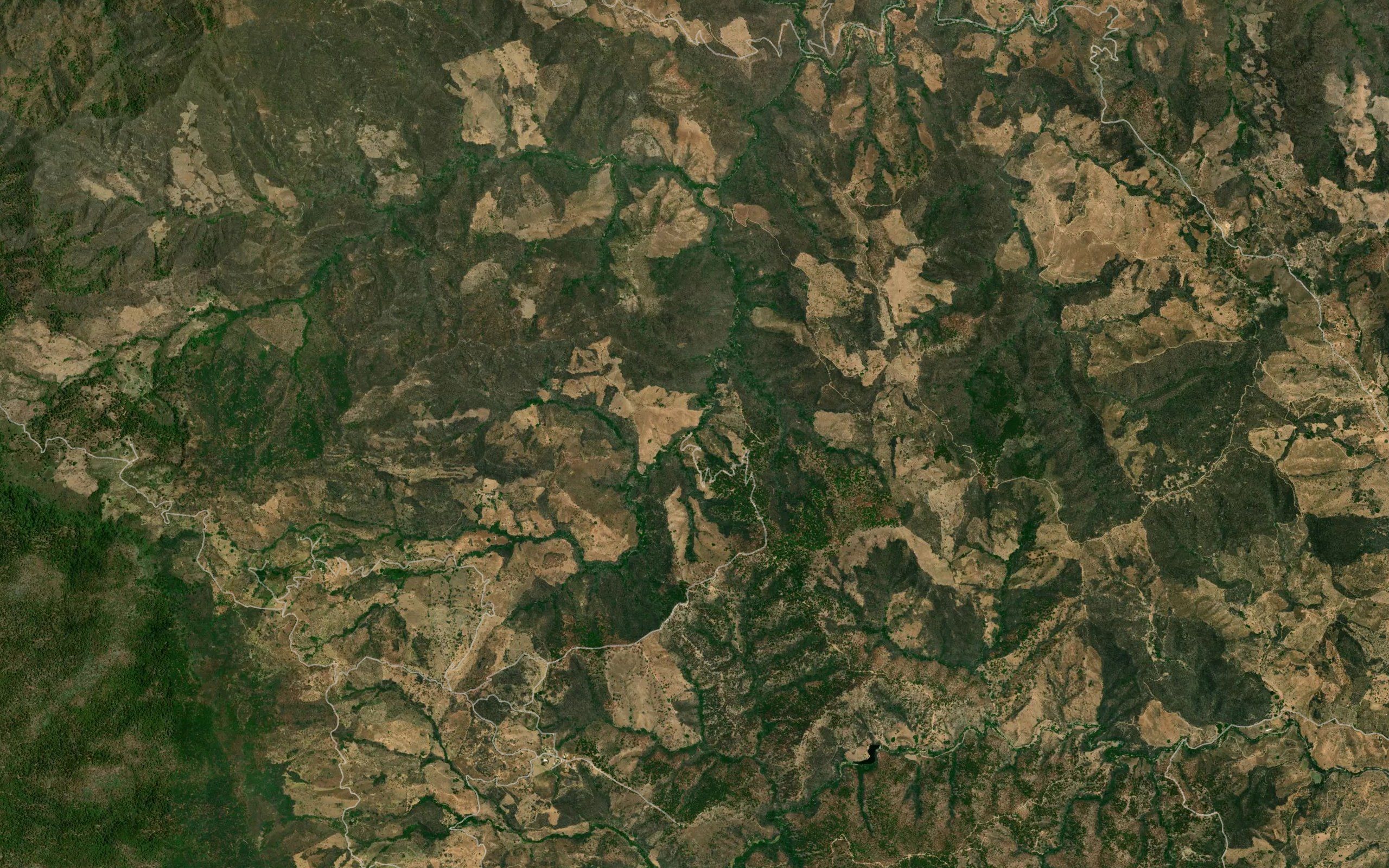Barranca El Manguito