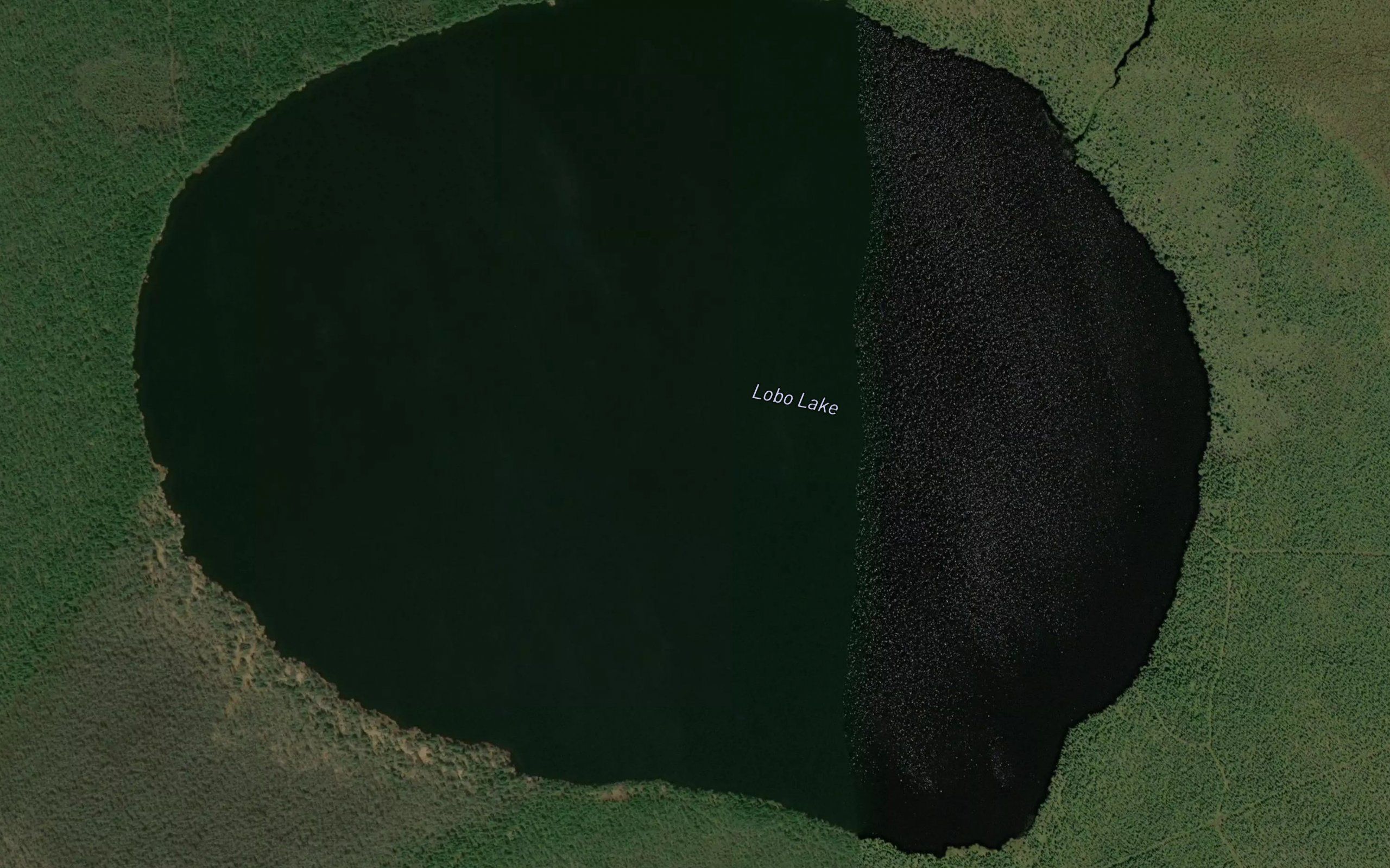 Lobo Lake