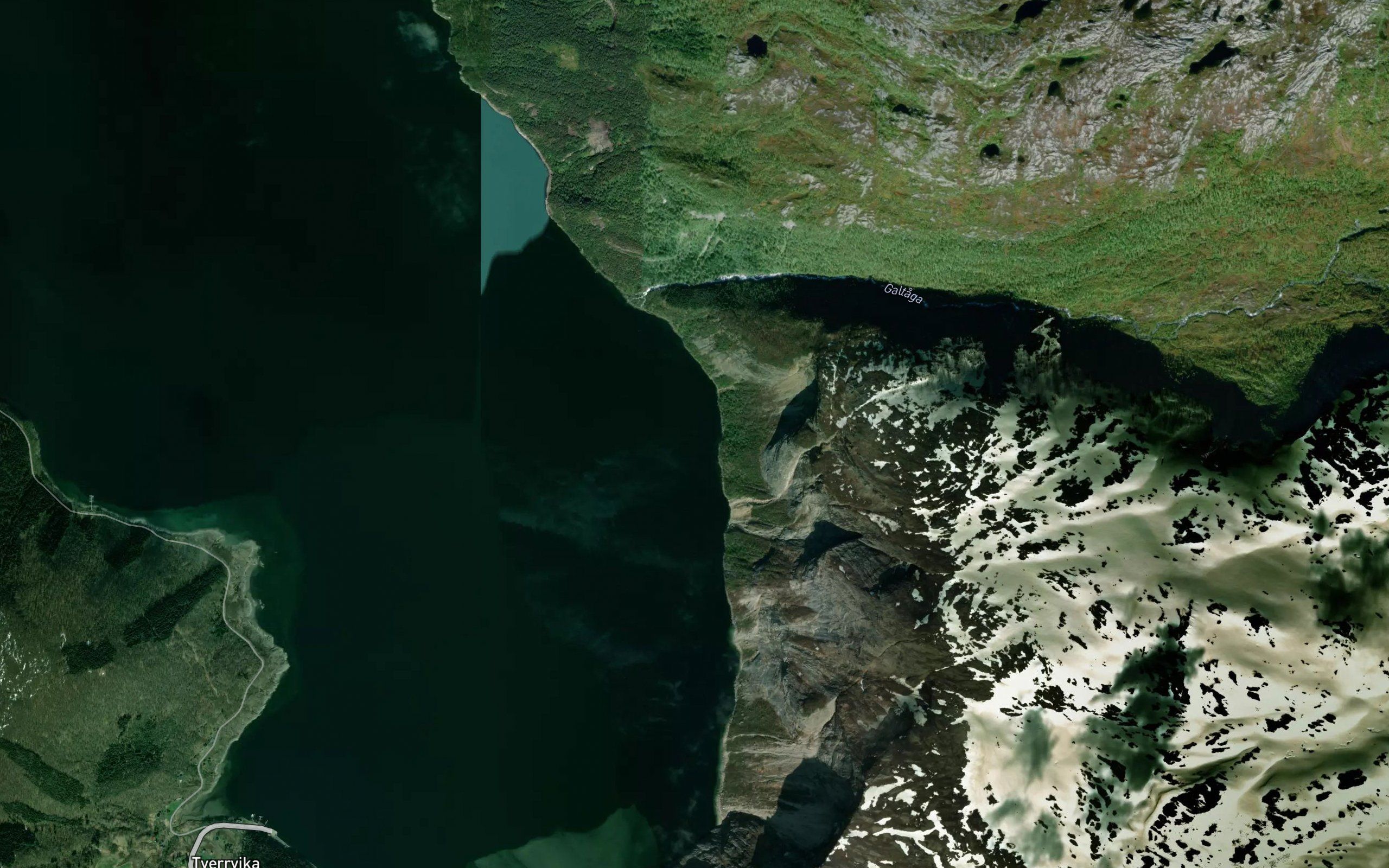 Kalvika