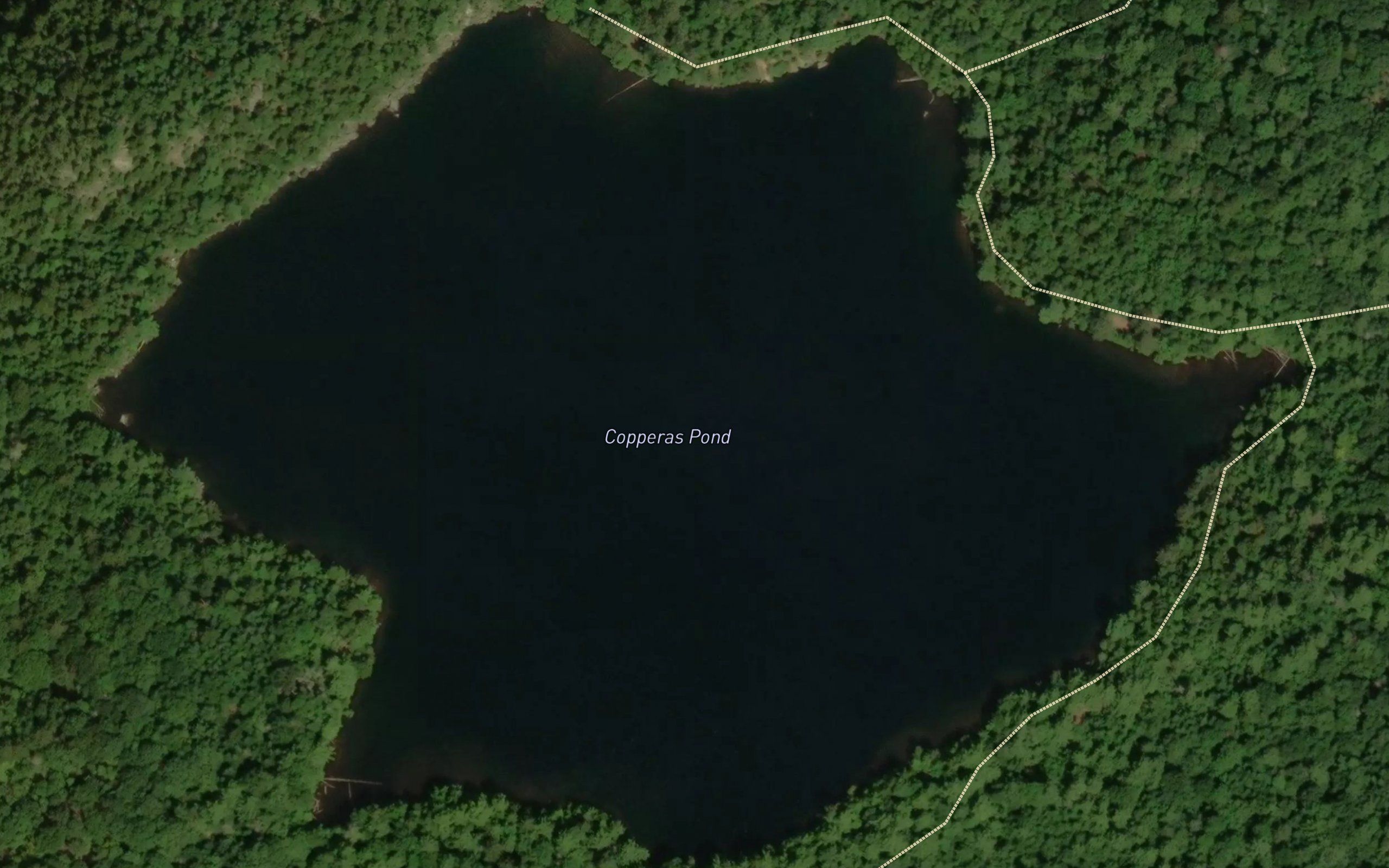Copperas Pond