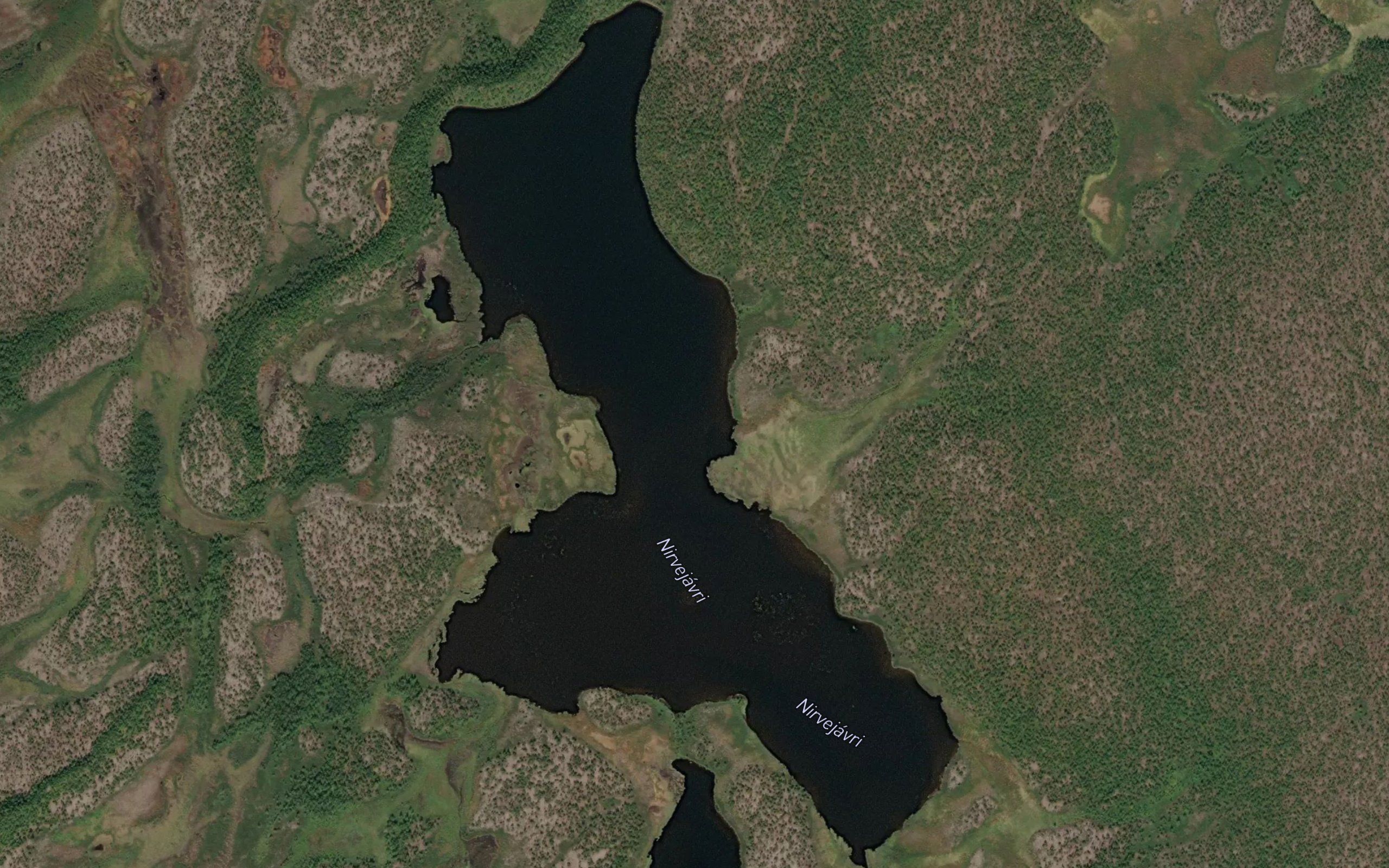 Nirvejavri