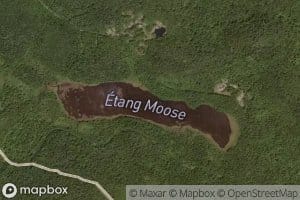 Etang Moose