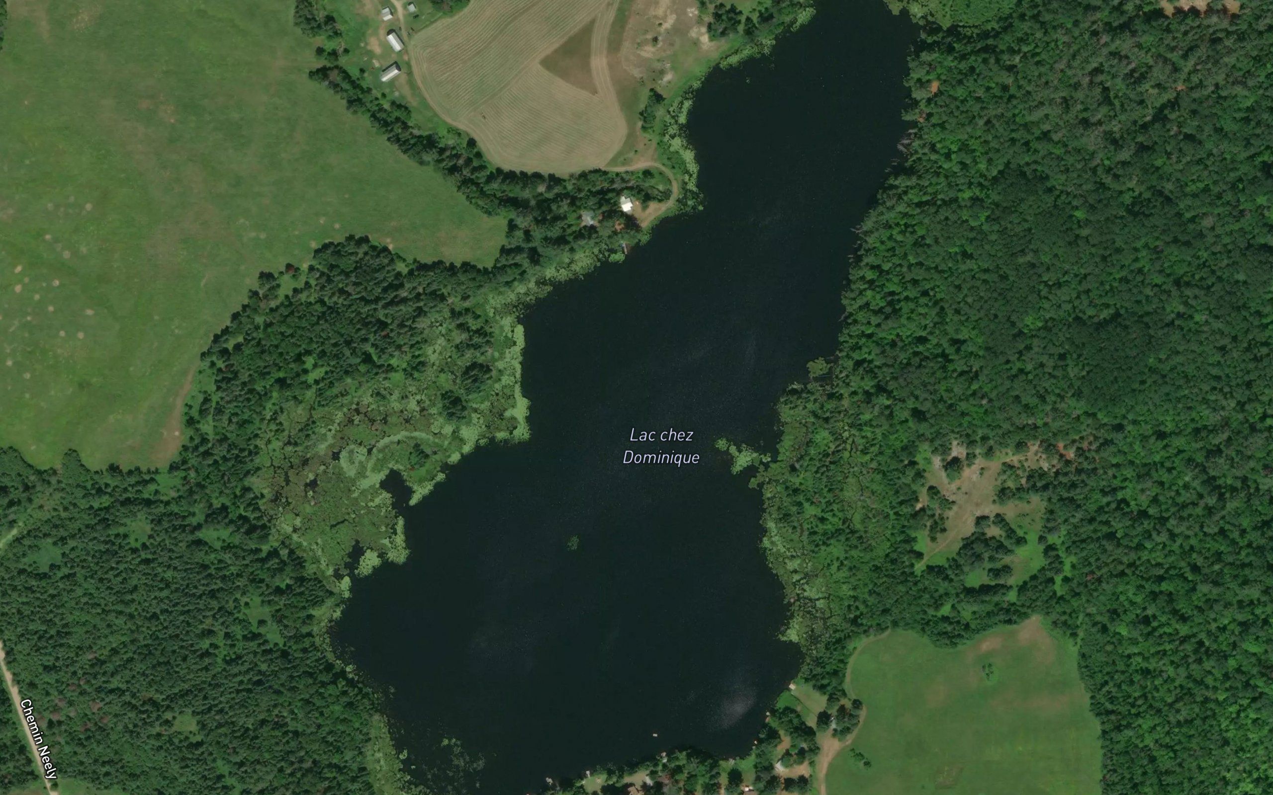 Lac chez Dominique