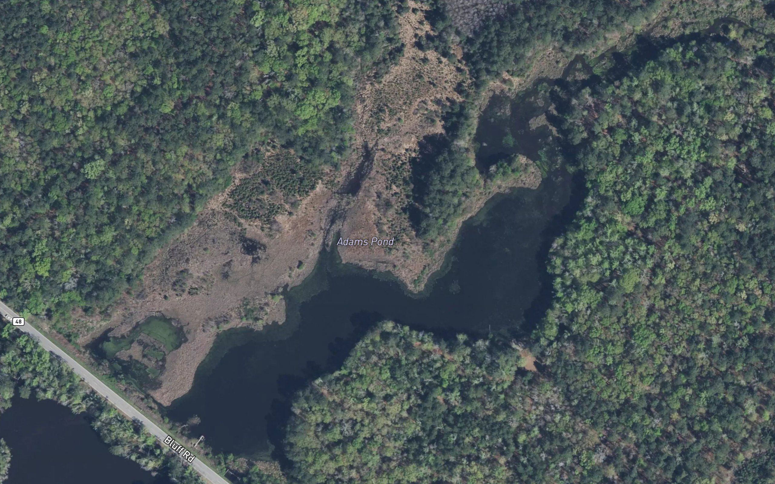 Adams Pond