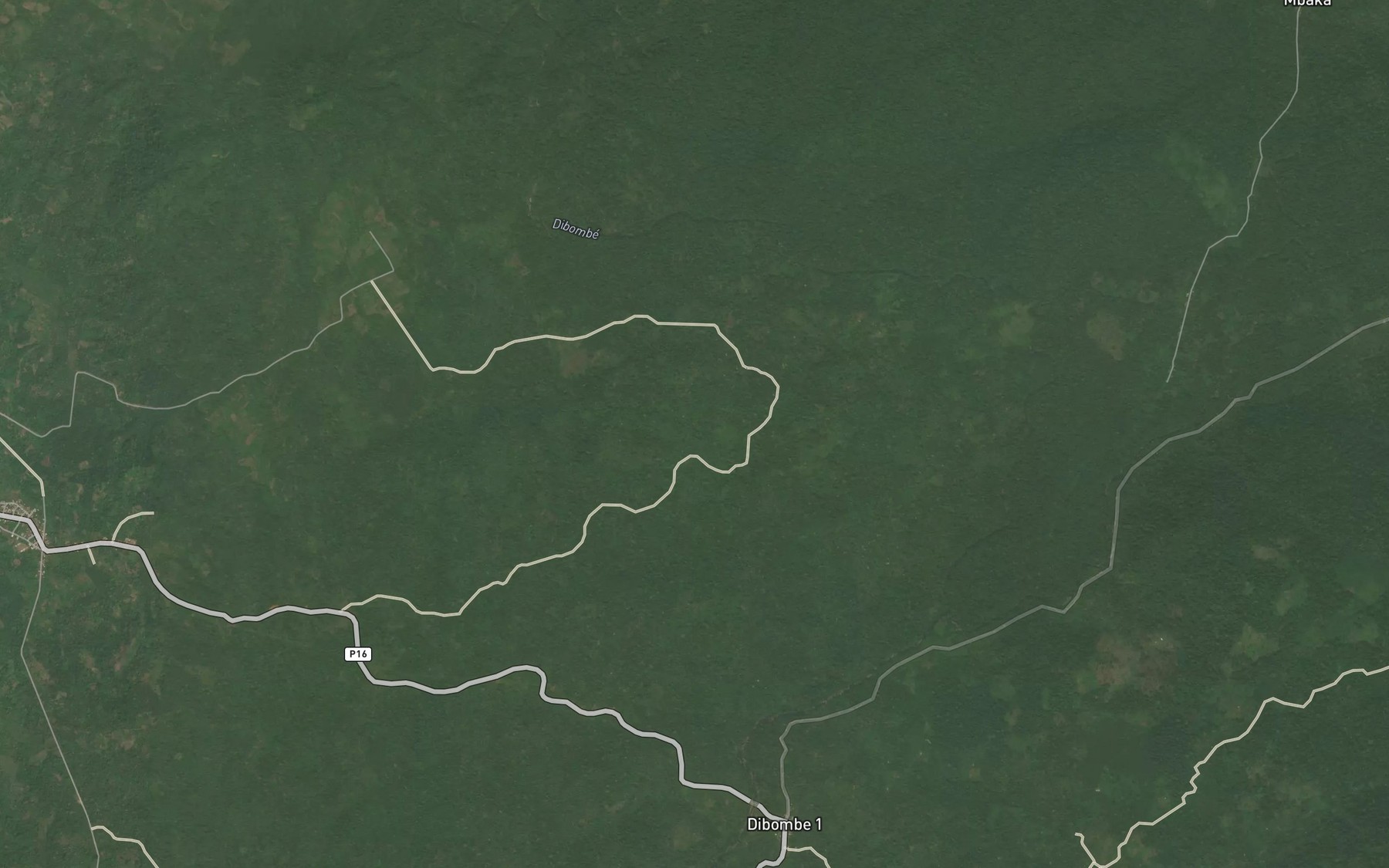 Satellite map of the Moopa
