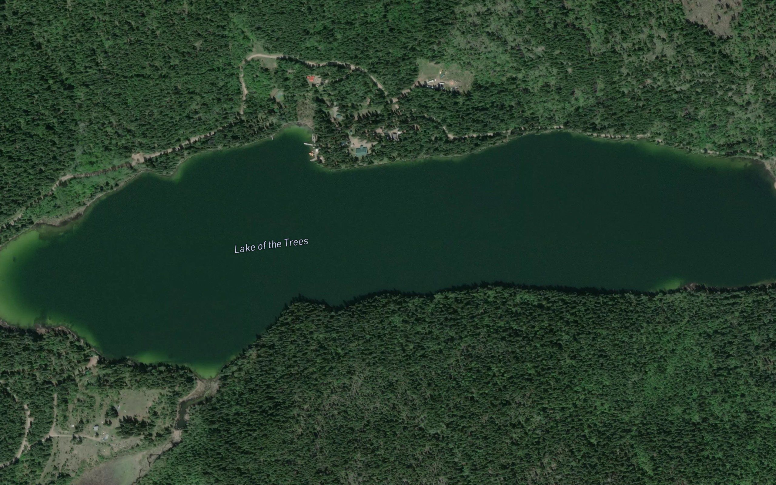 Lake of The Trees