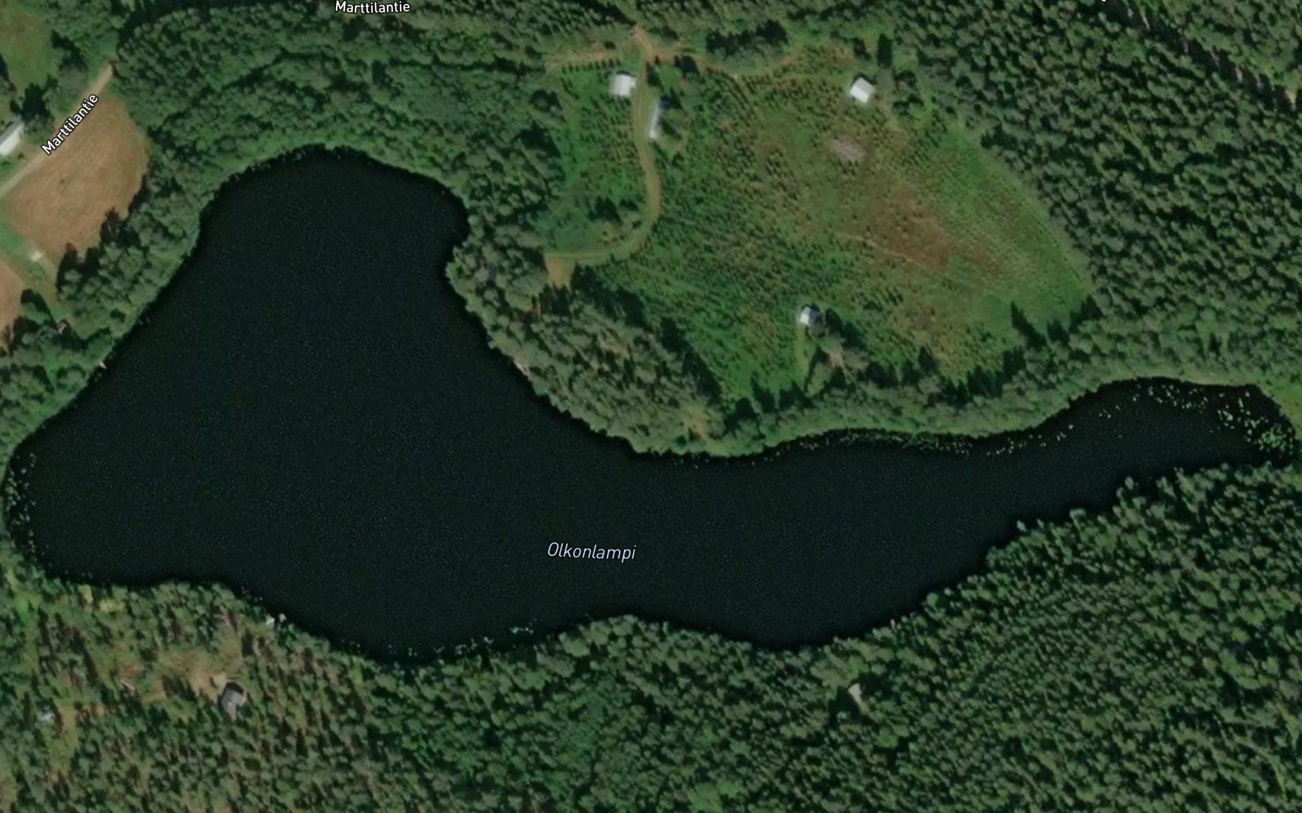 Olkonlampi