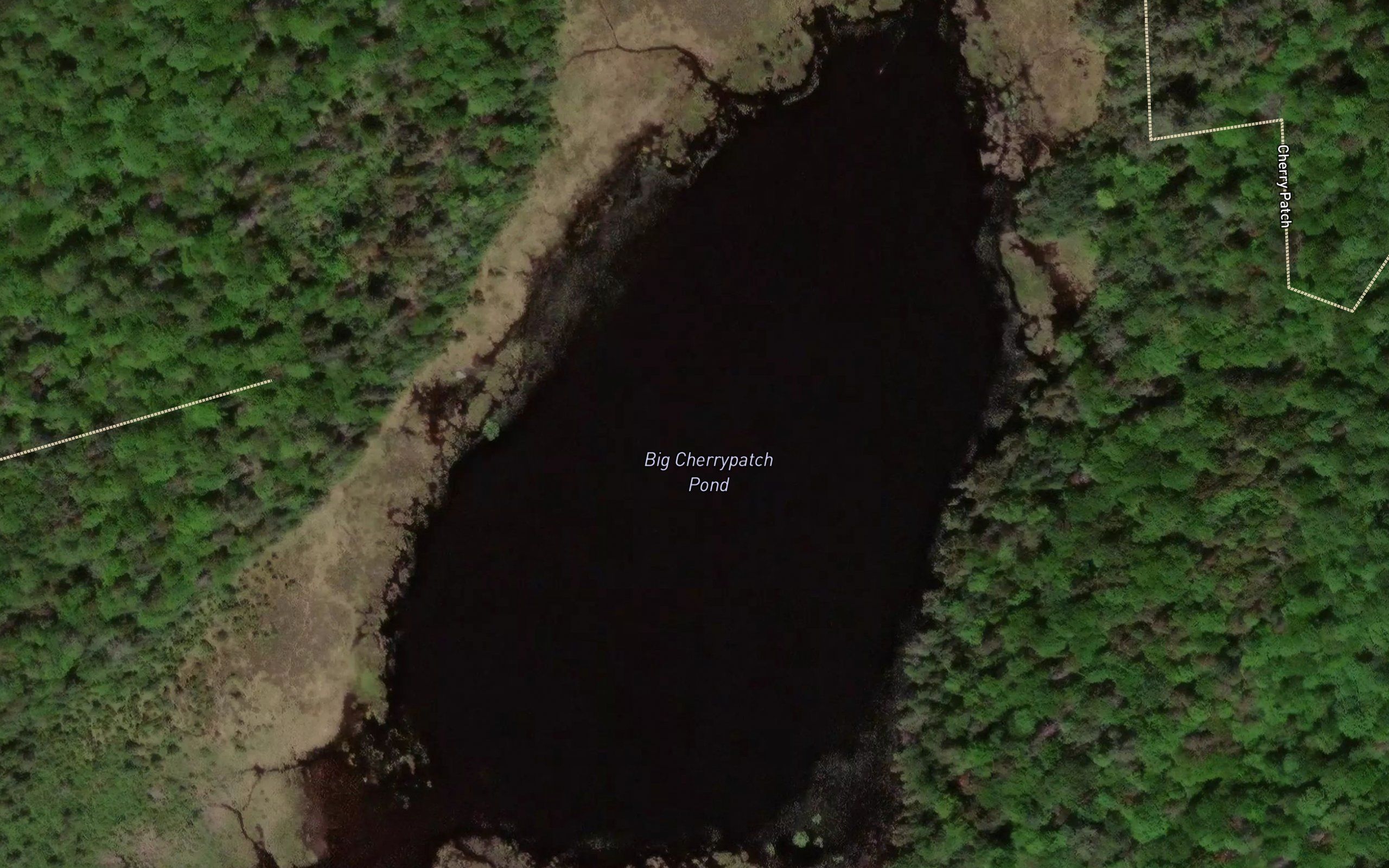 Big Cherrypatch Pond