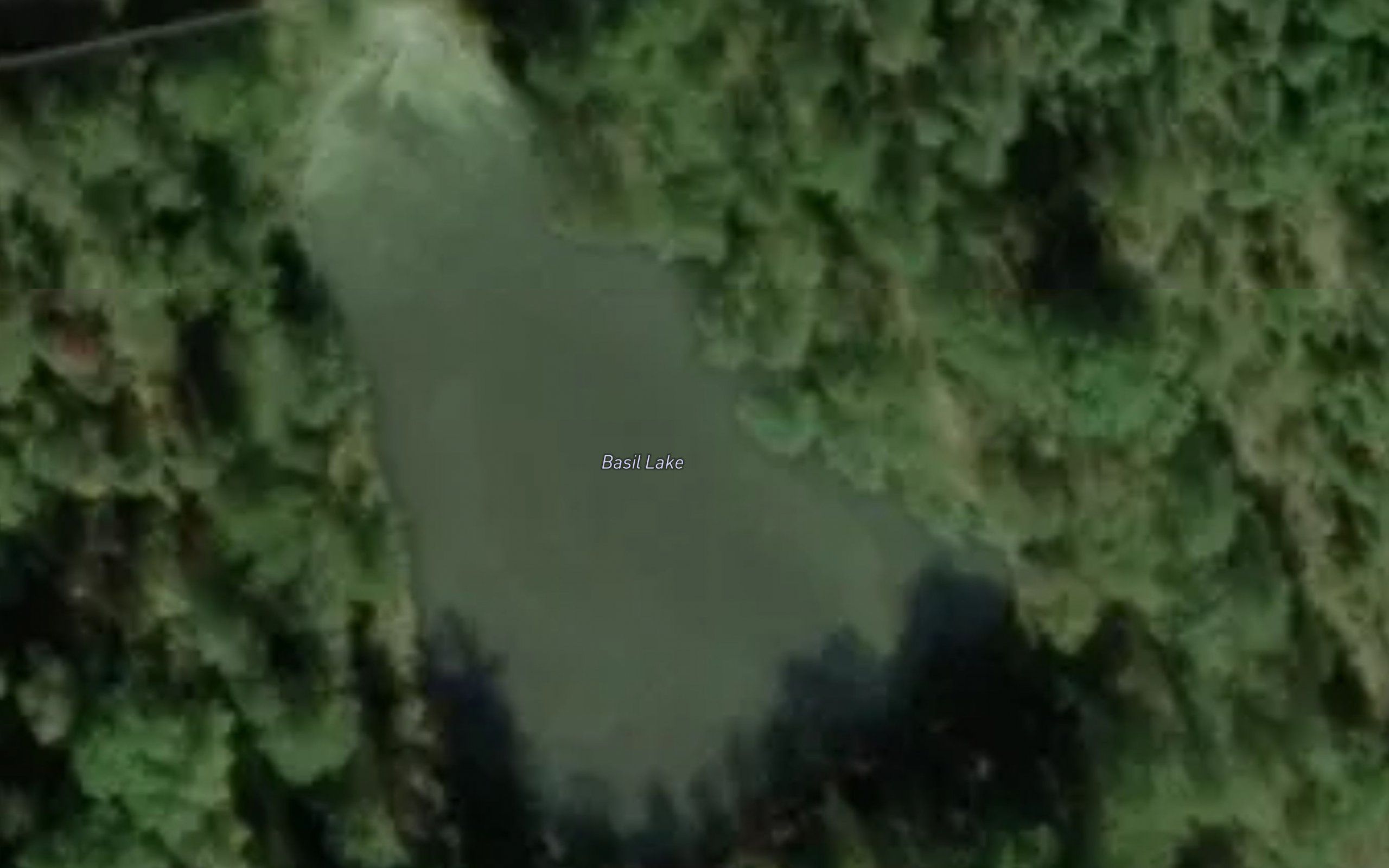 Basil Lake
