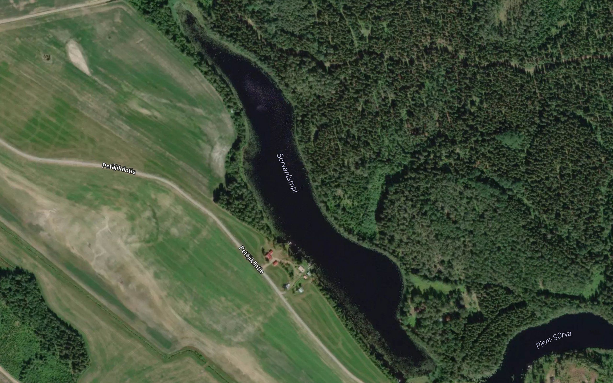 Sorvanlampi