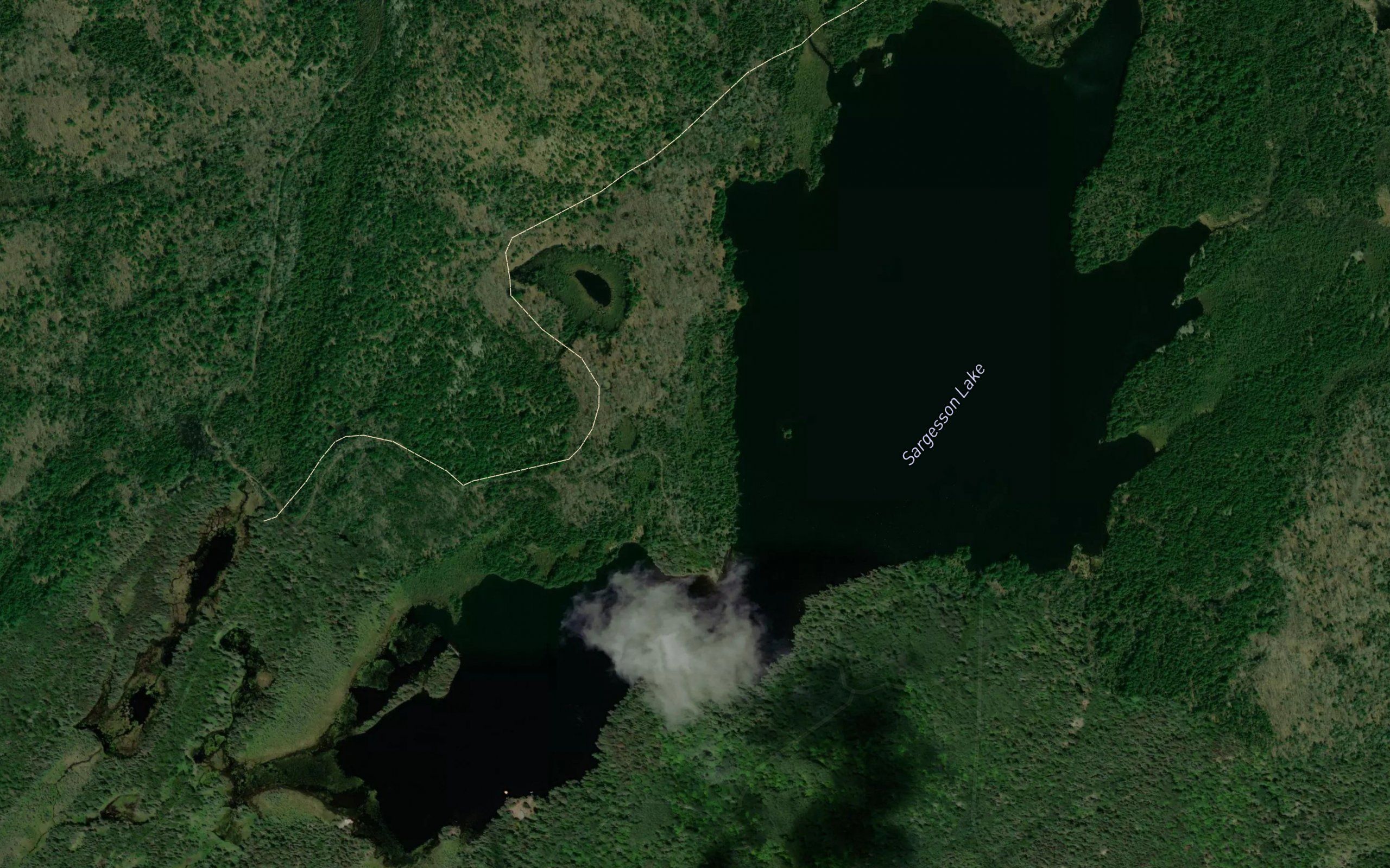 Sargesson Lake