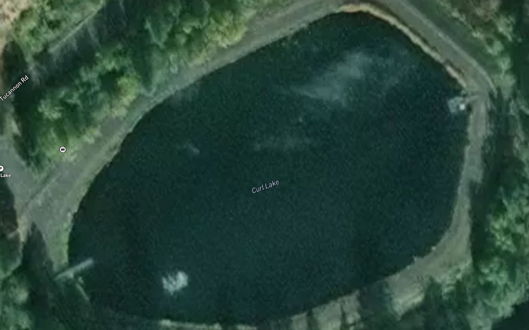 Satellite map of the Curl Lake