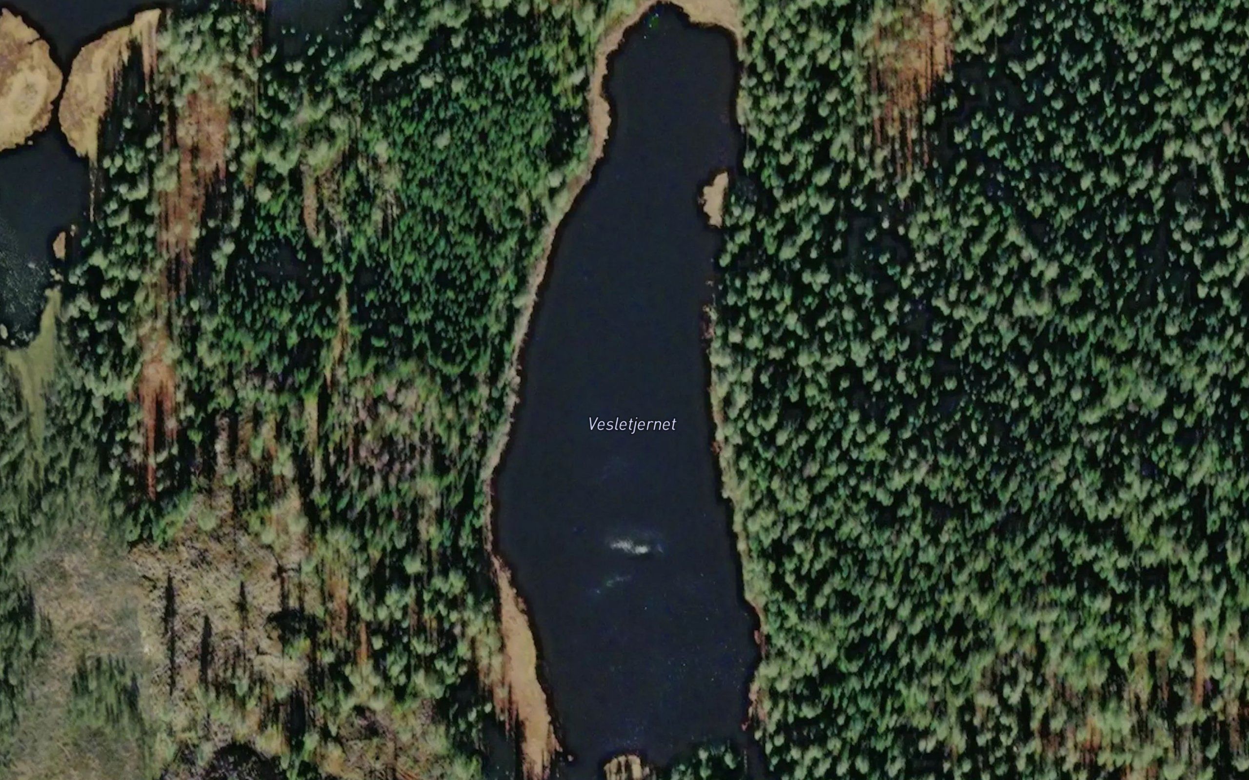 Vesletjernet