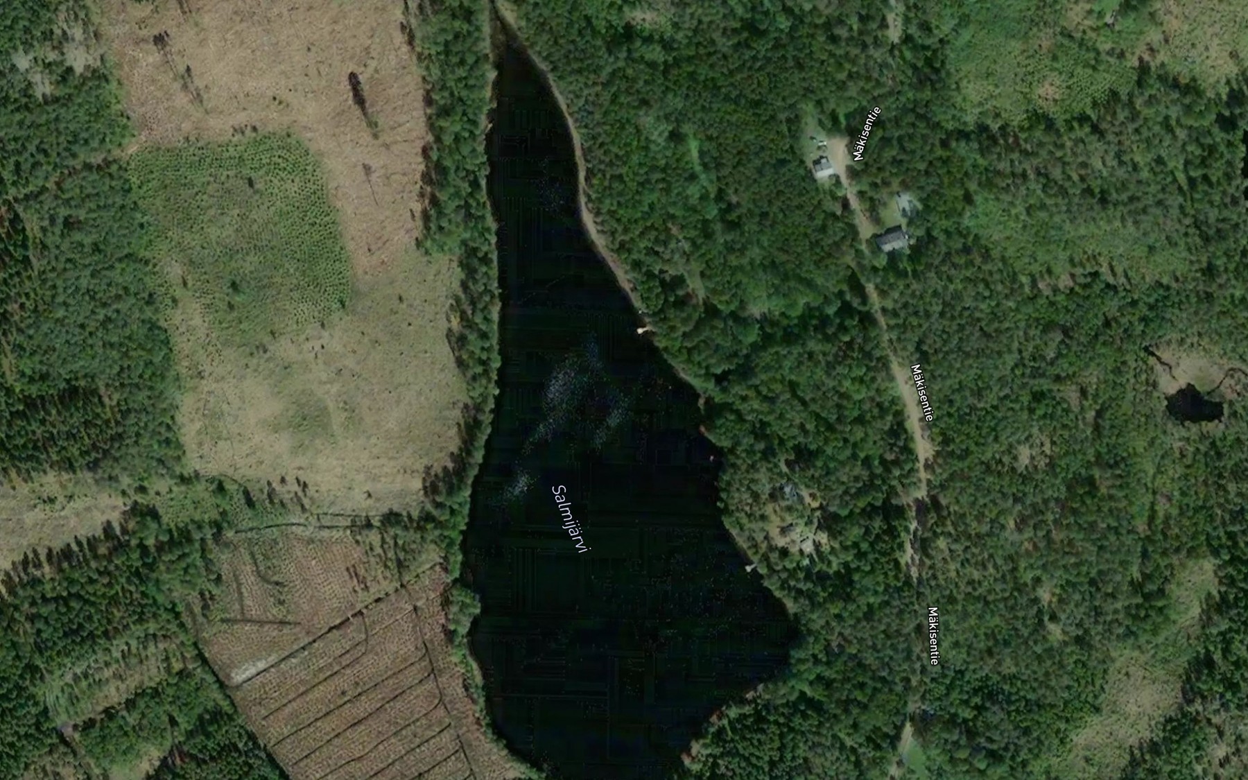 Satellite map of the Salmijarvi