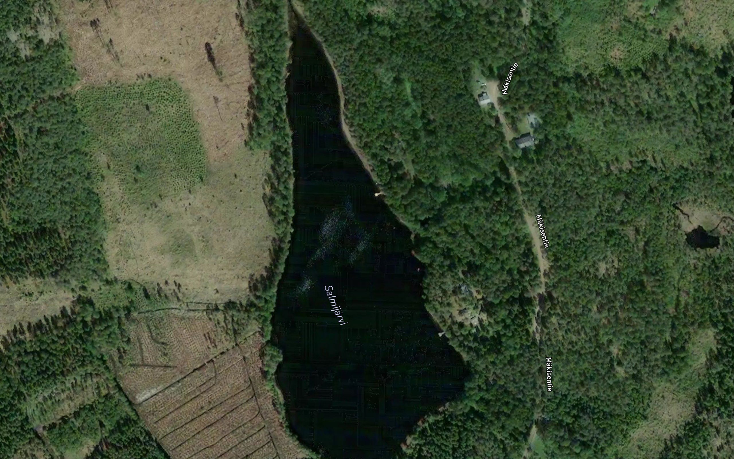 Salmijarvi