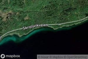 Dannemannsvika