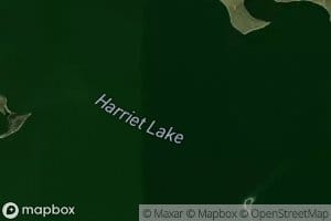Harriet Lake