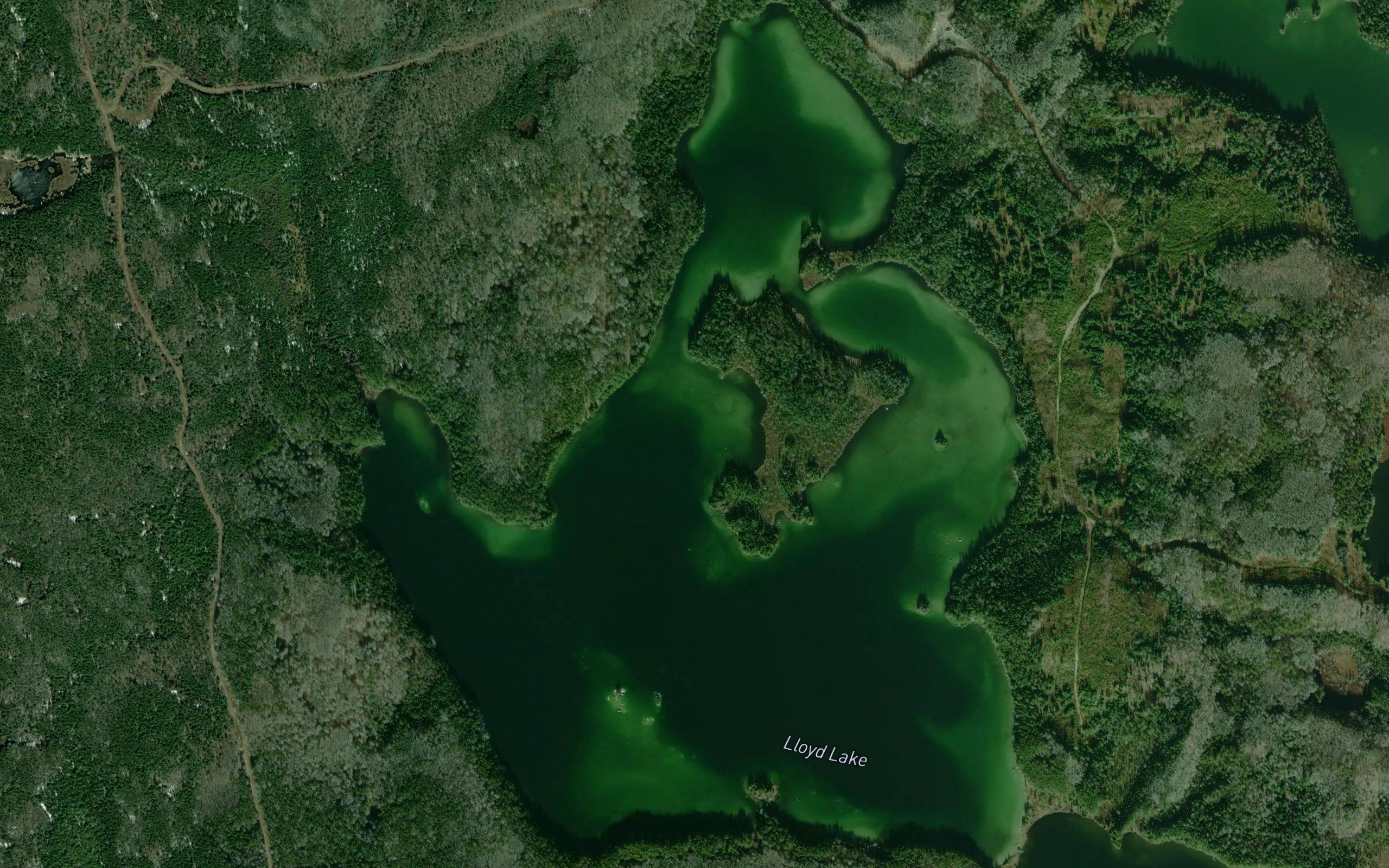 Lloyd Lake