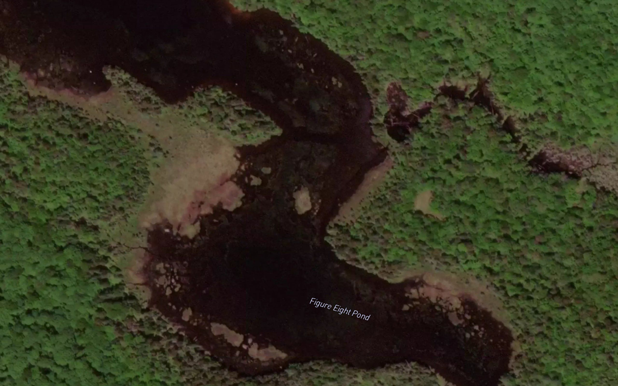 Figure Eight Pond