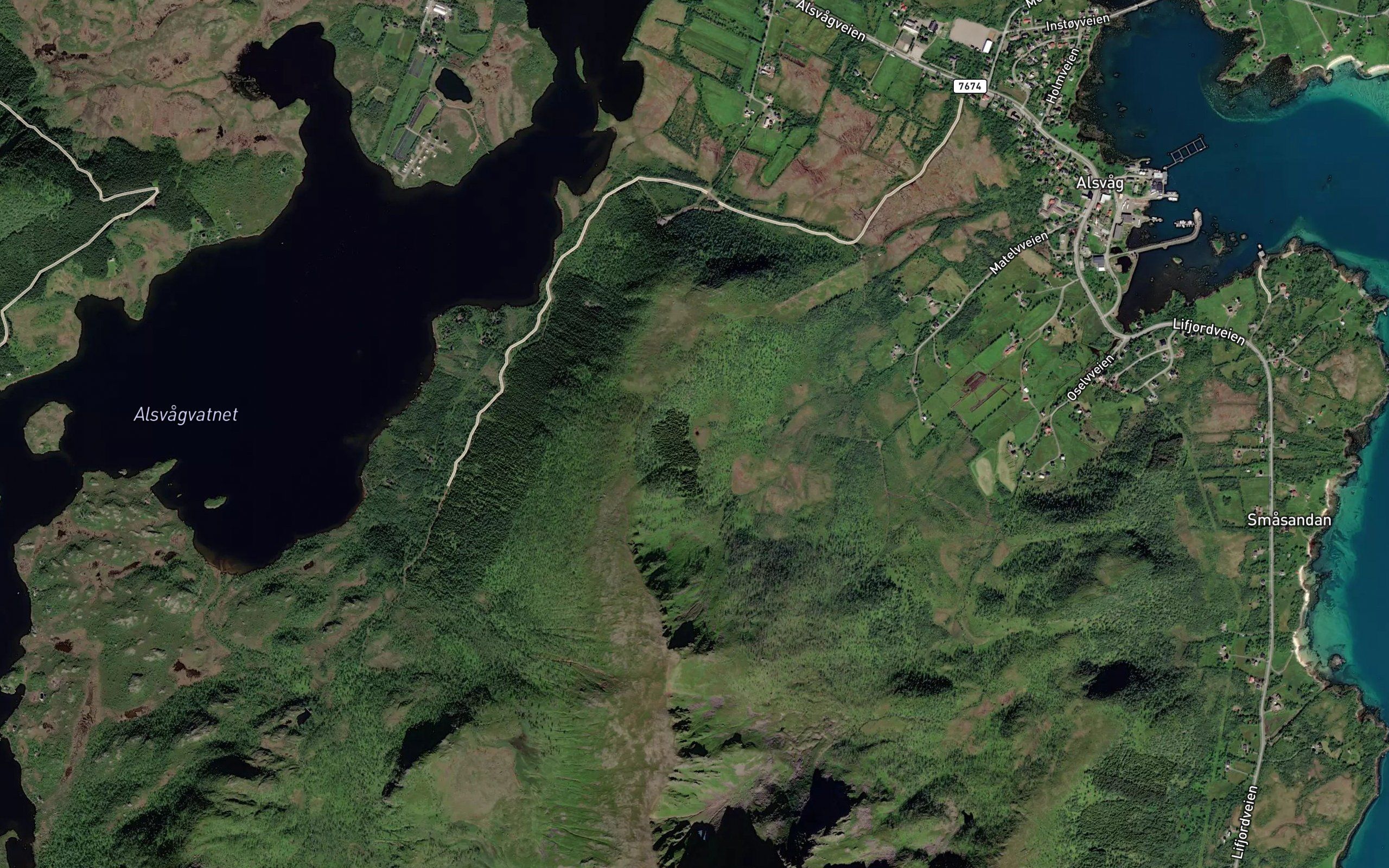 Gronnlivatnet