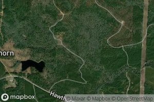 Henson Pond