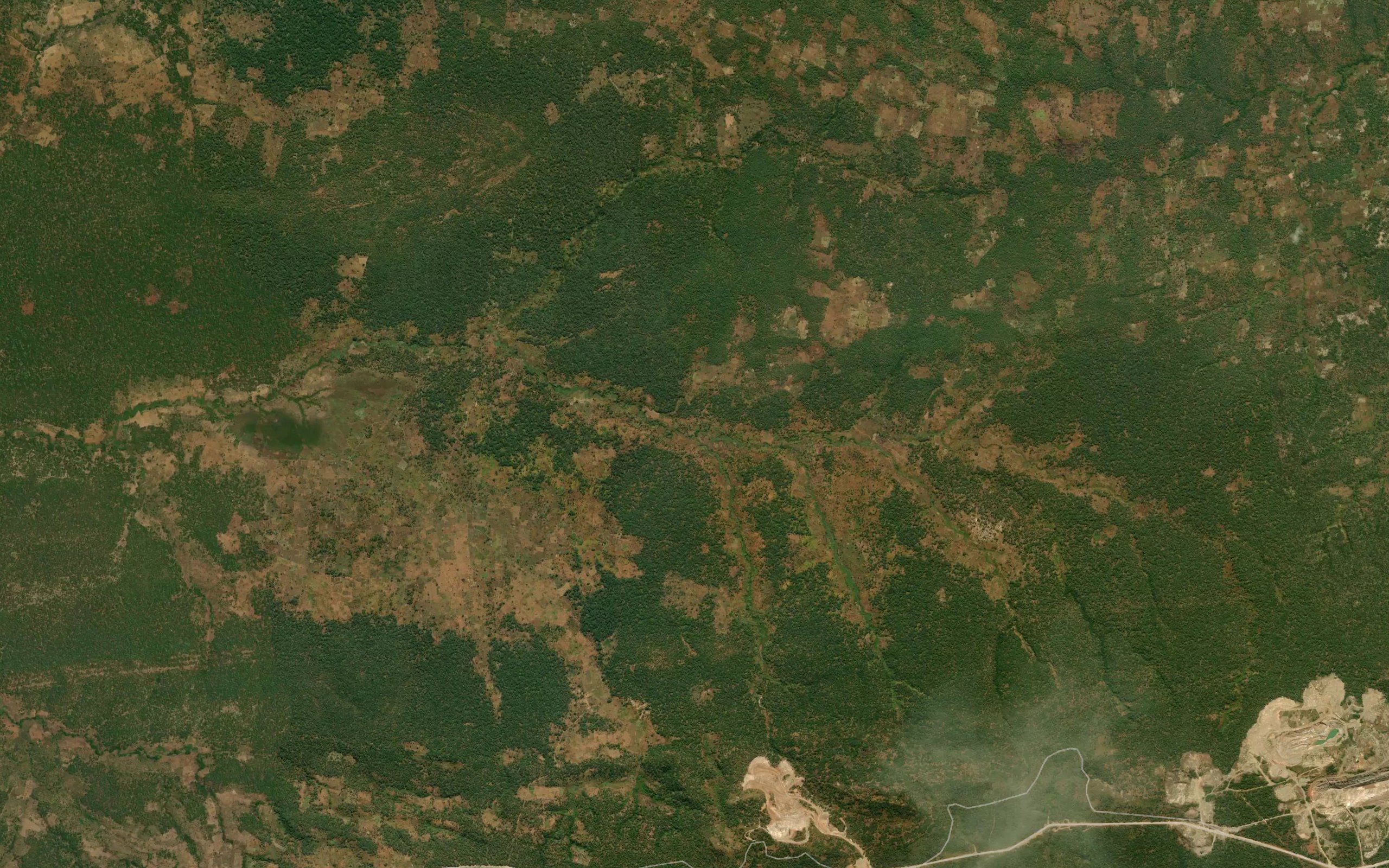Mupapala