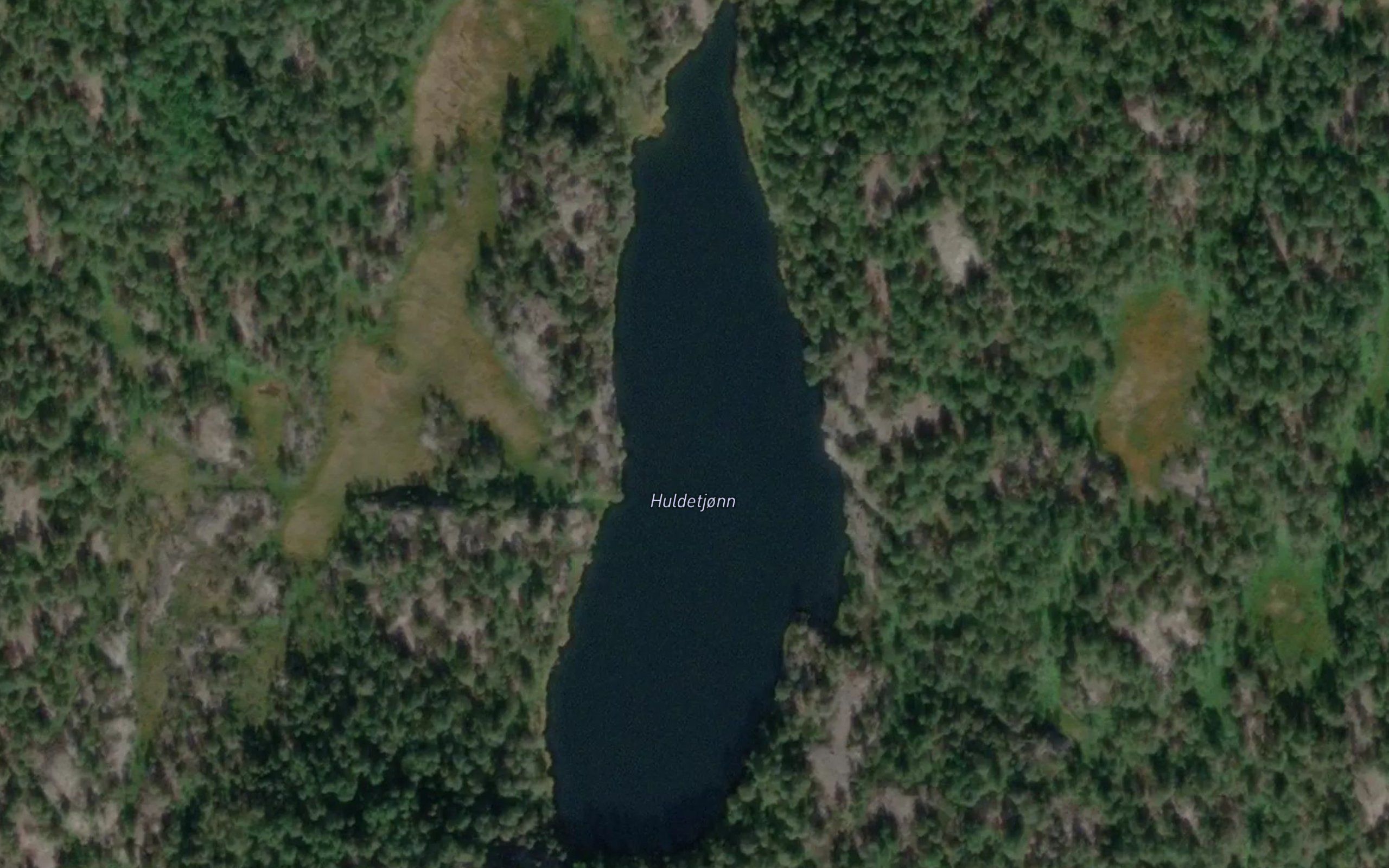 Huldetjorn