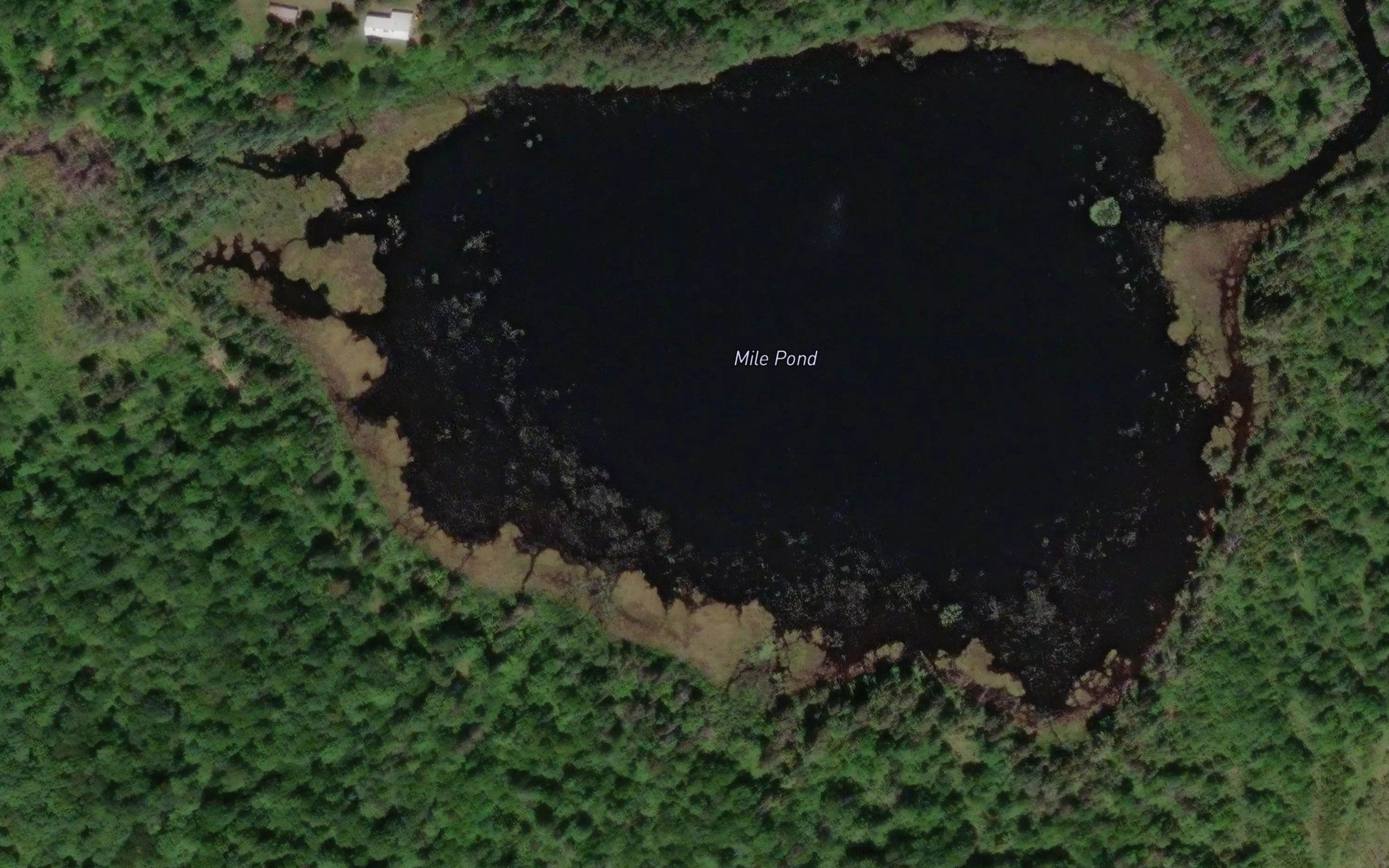Mile Pond