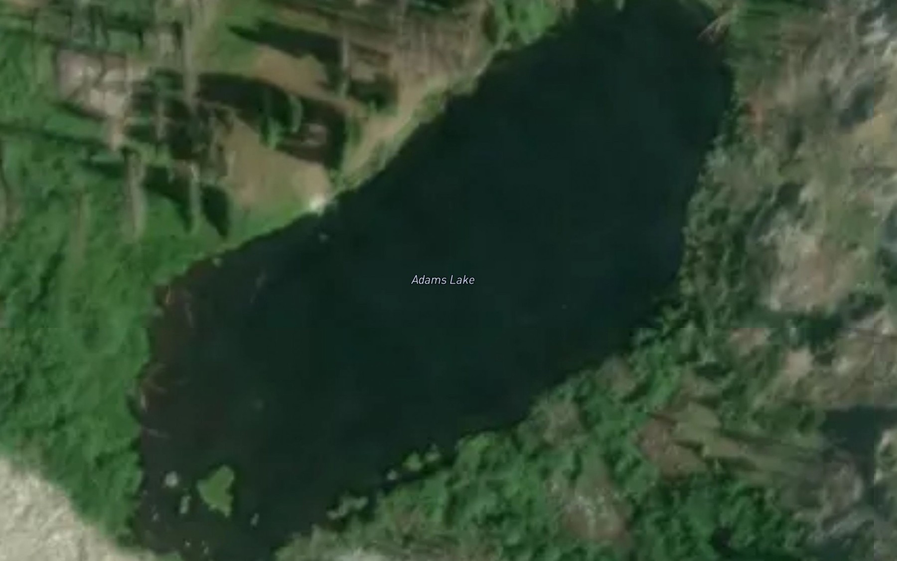 Satellite map of the Adams Lake
