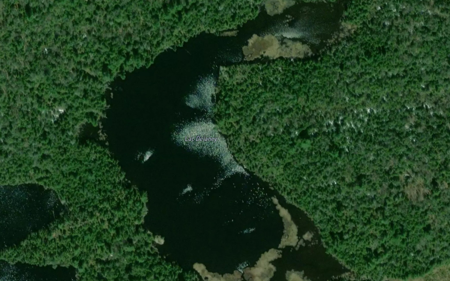 Satellite map of the Lac Delaney