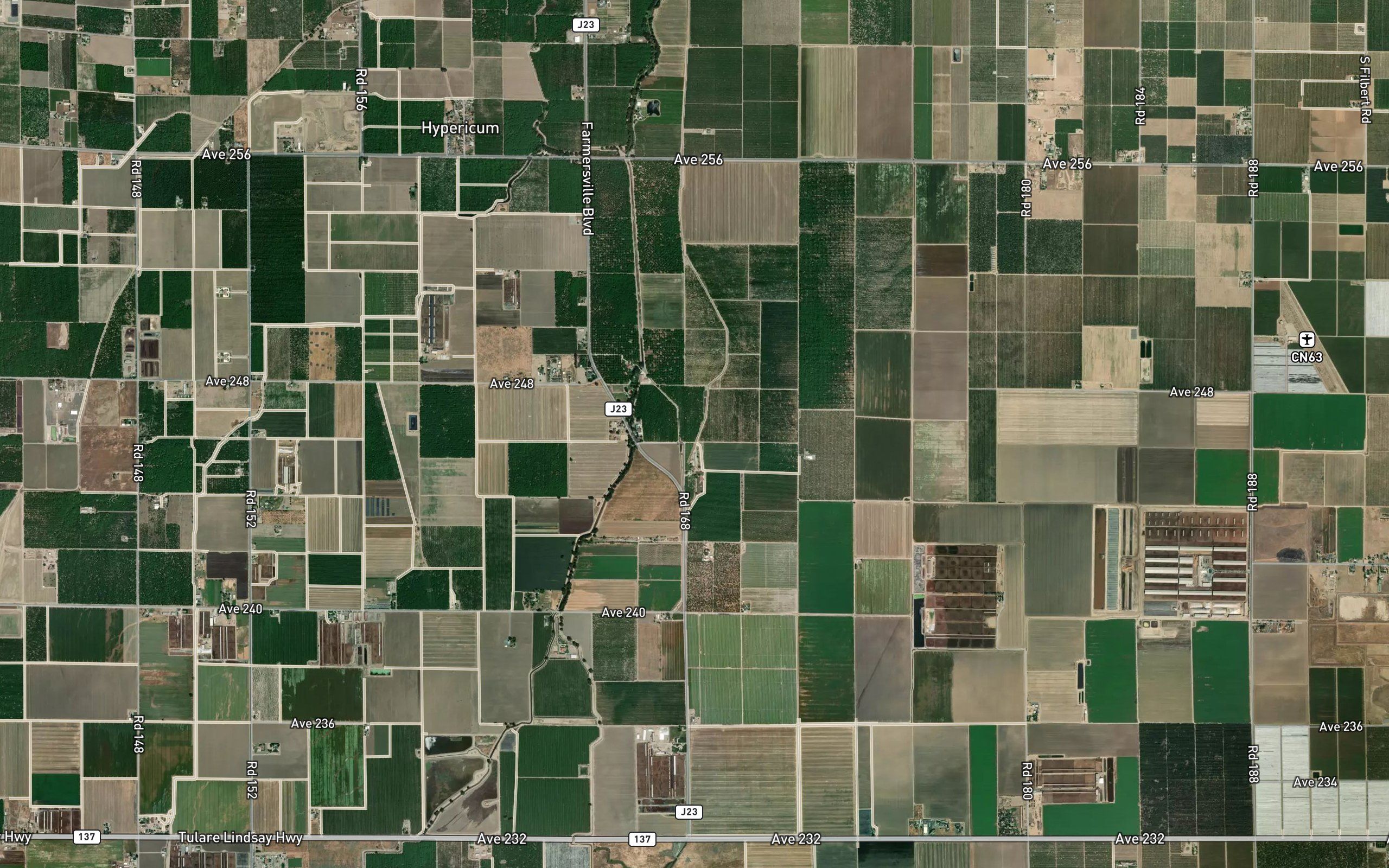Gray Ditch