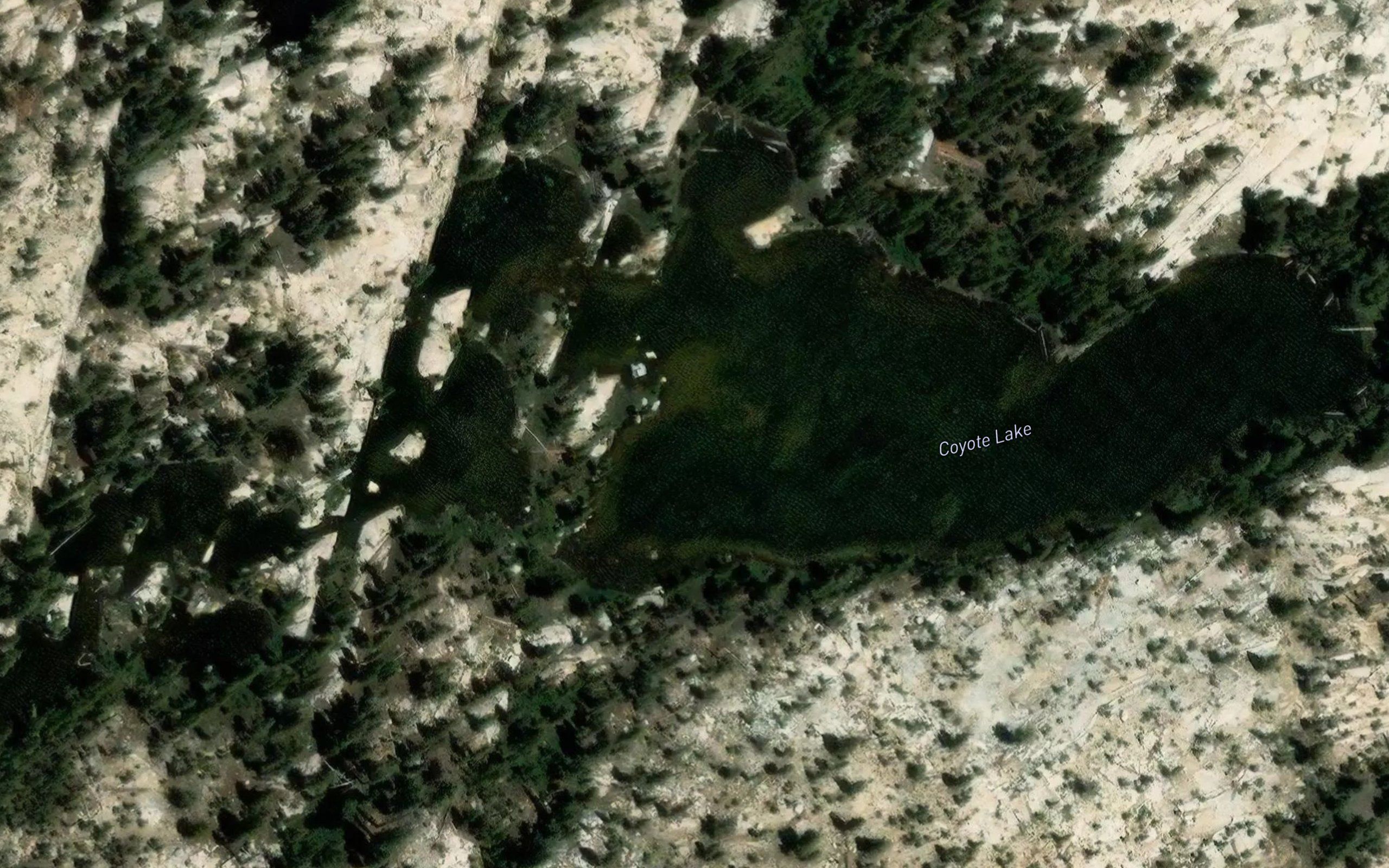 Coyote Lake