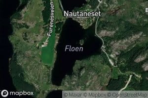 Floen