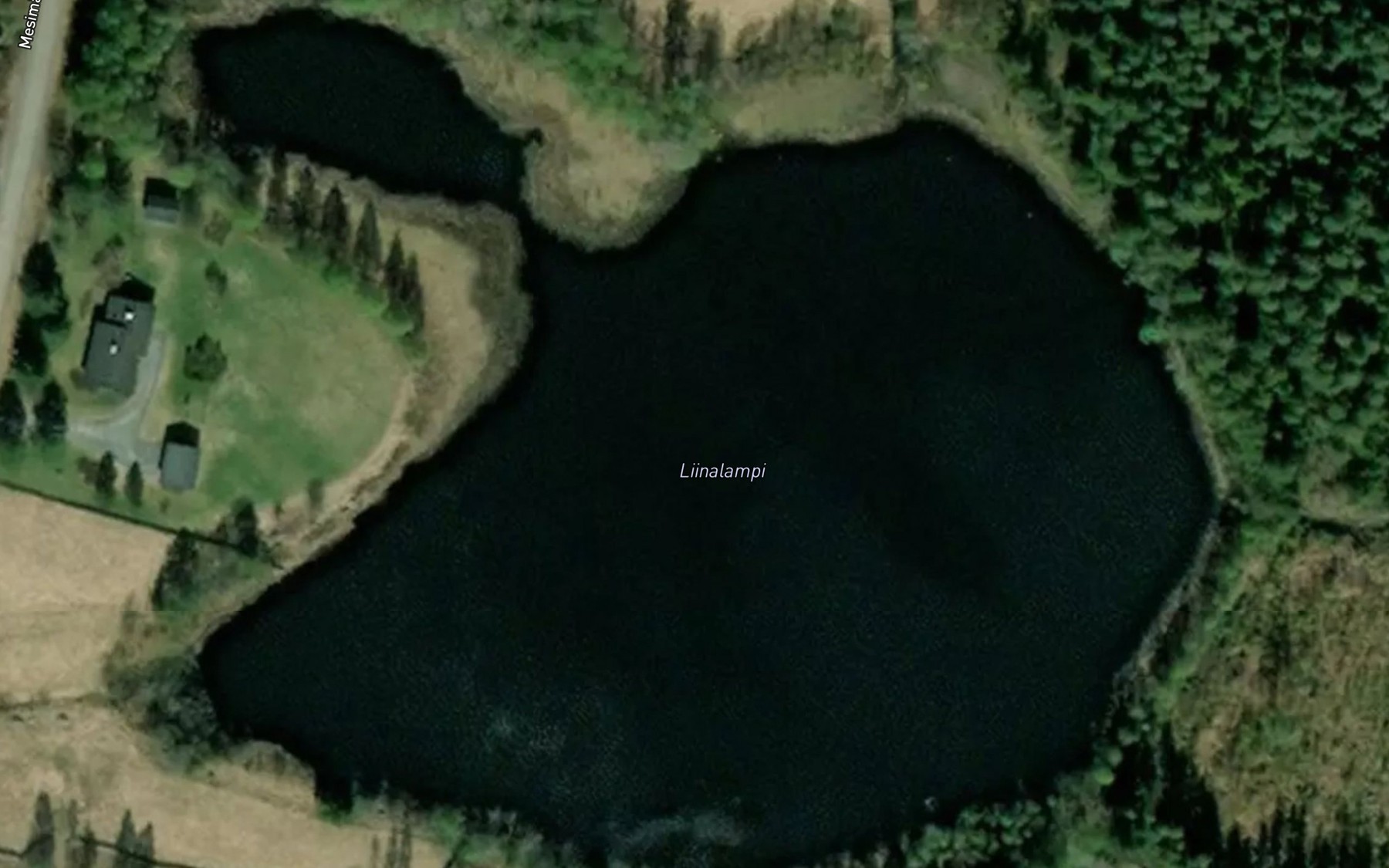 Satellite map of the Liinalampi