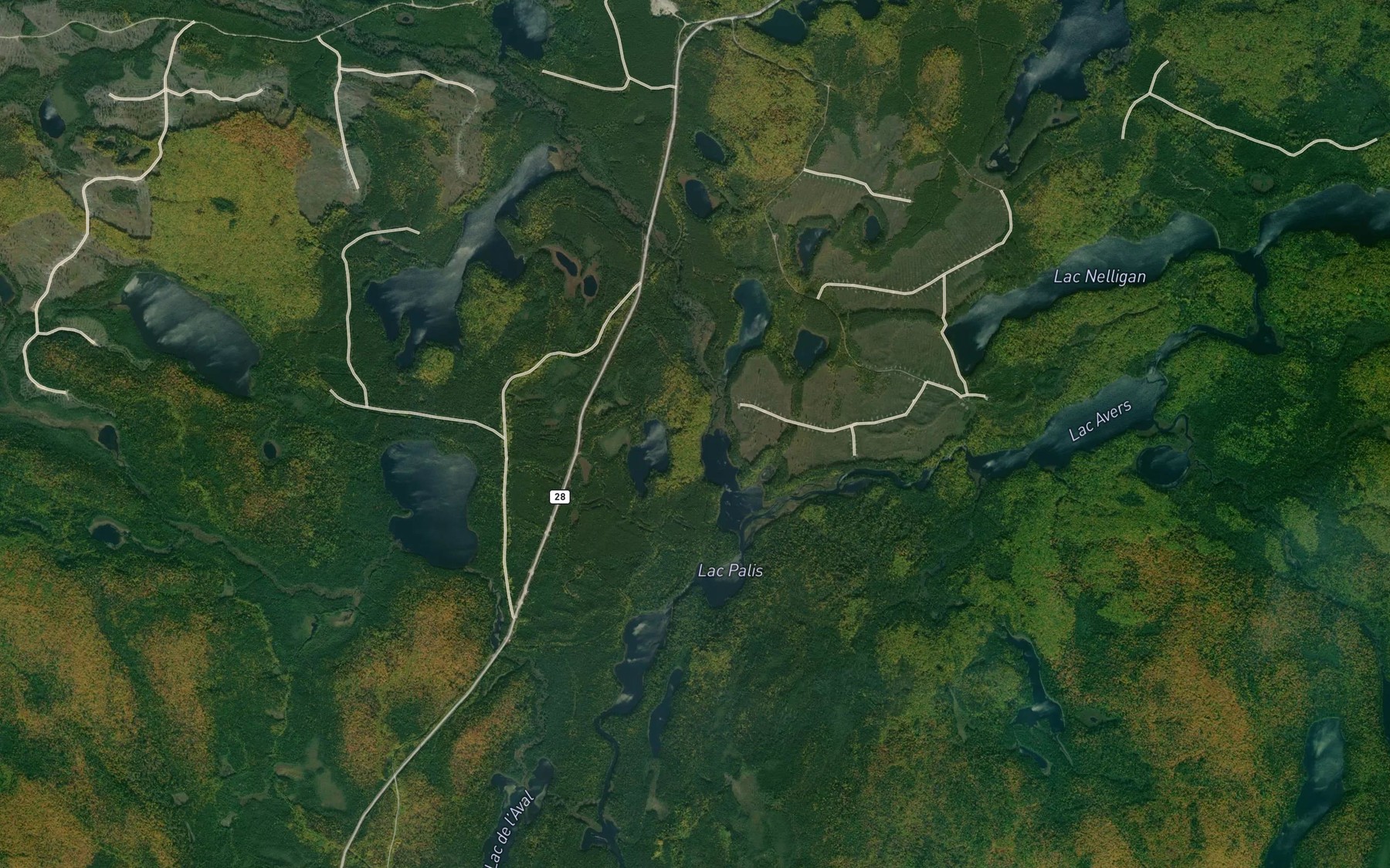 Satellite map of the Ruisseau Pork