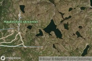 Tvitjonnane