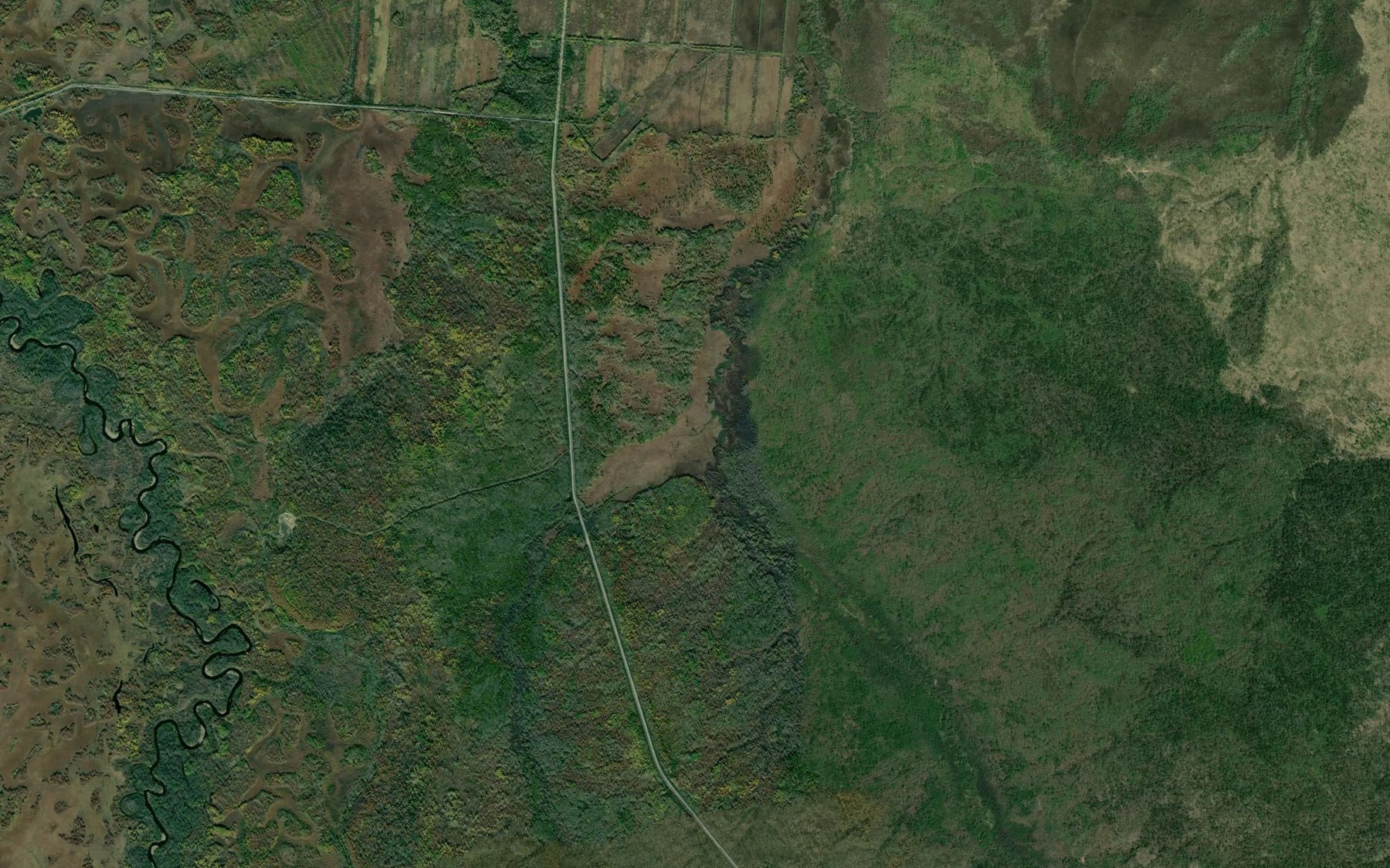 Satellite map of the Dement'yevskaya